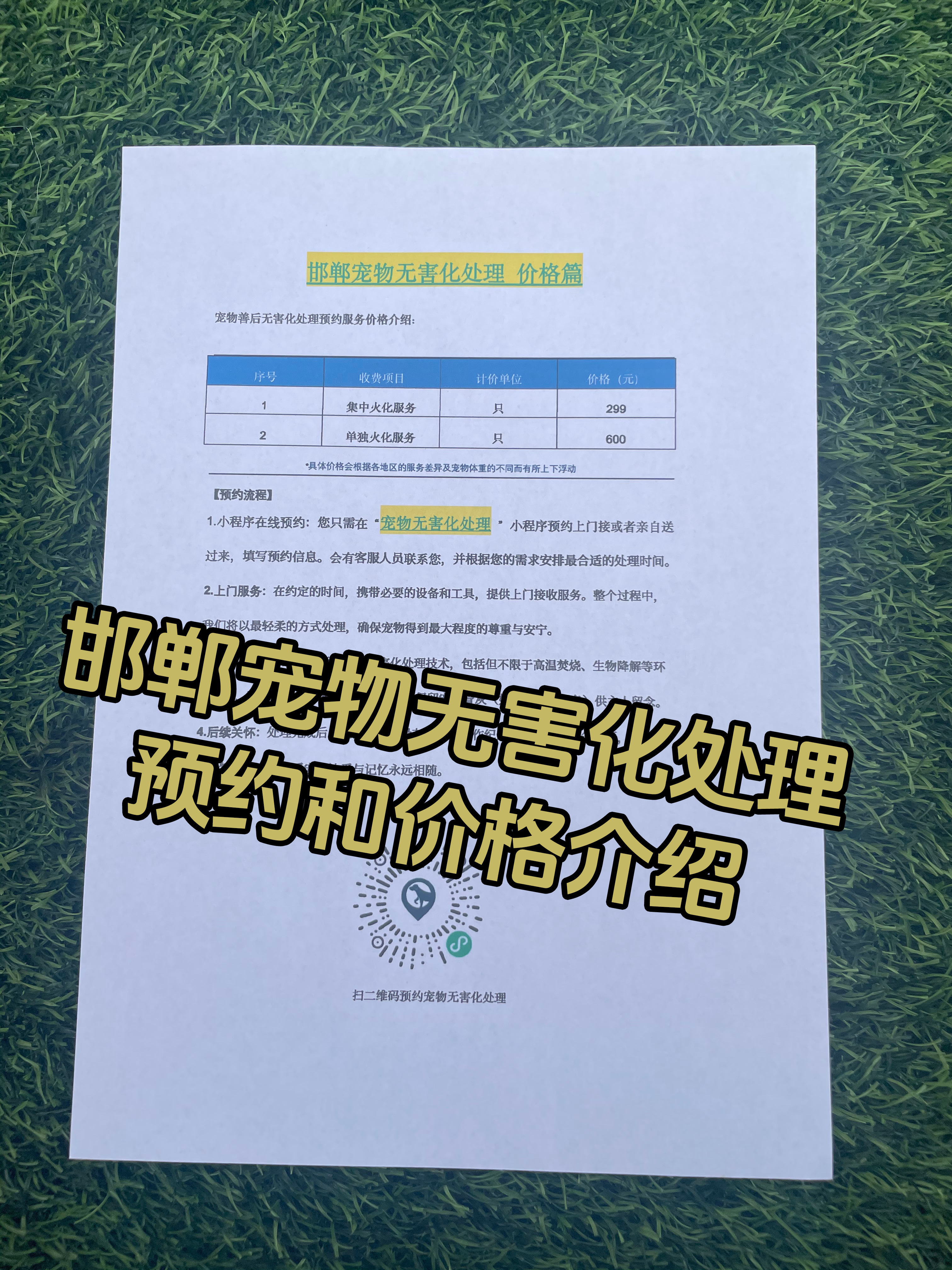 全南宠物无害化