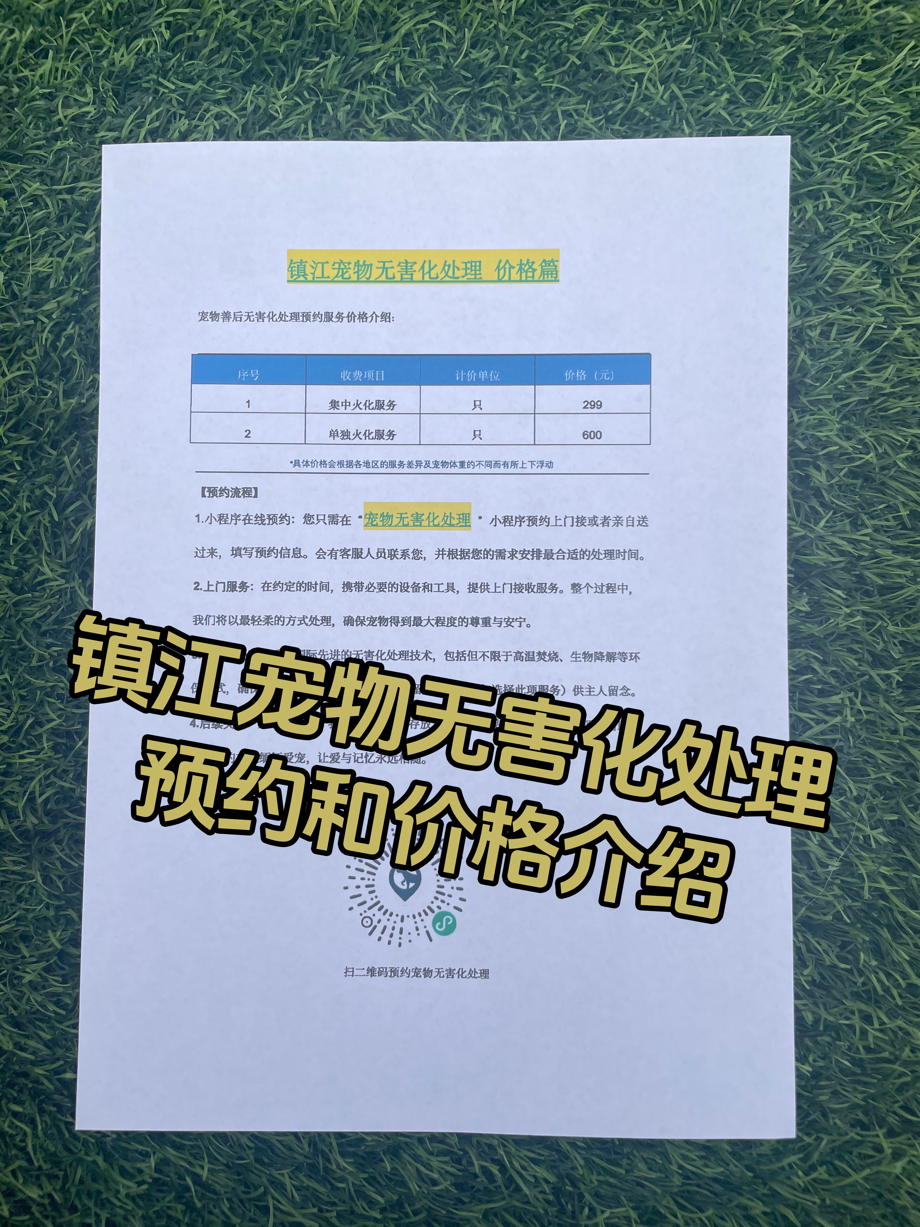 南昌宠物遗体规范处理