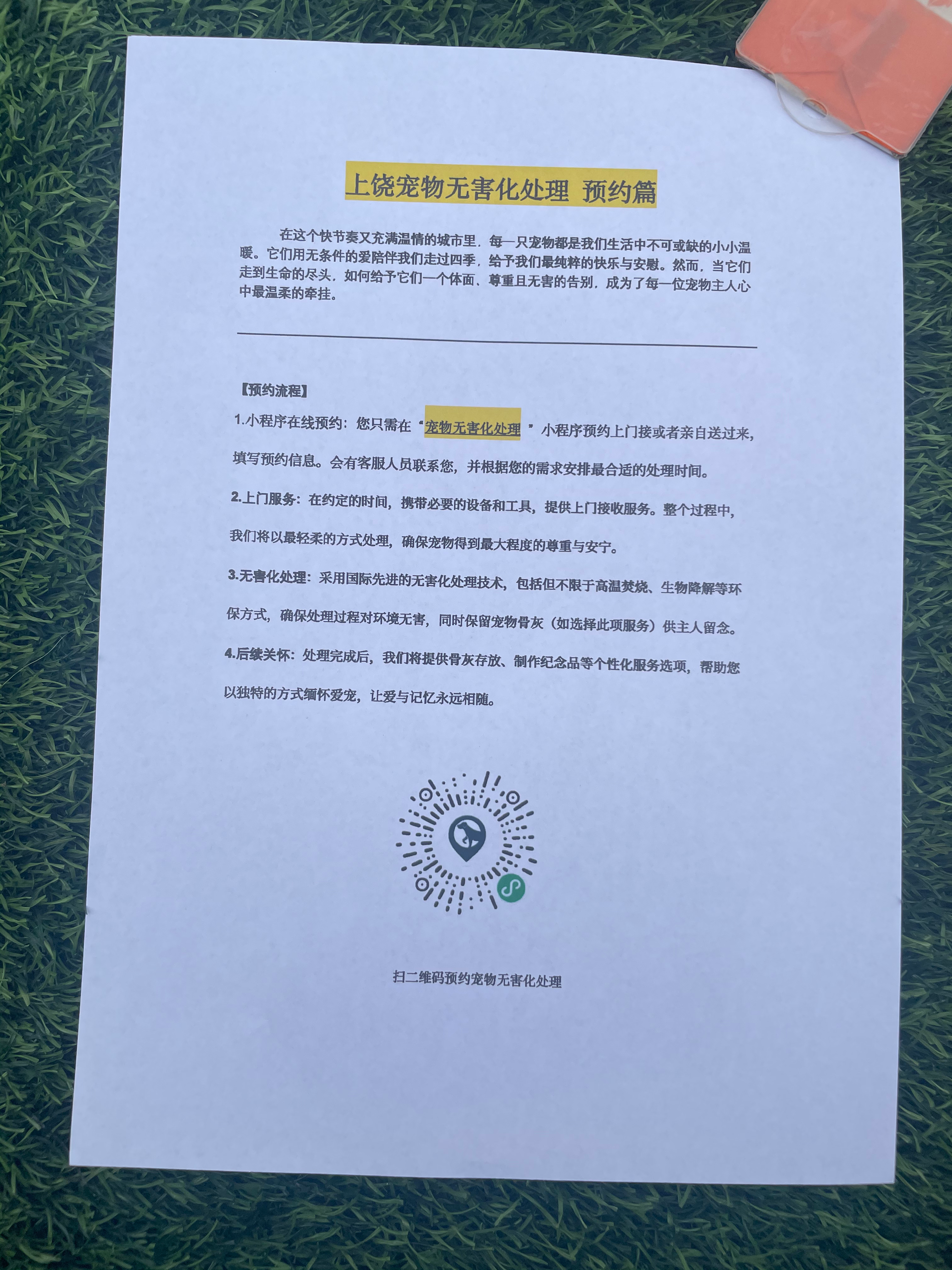 全南宠物接运服务
