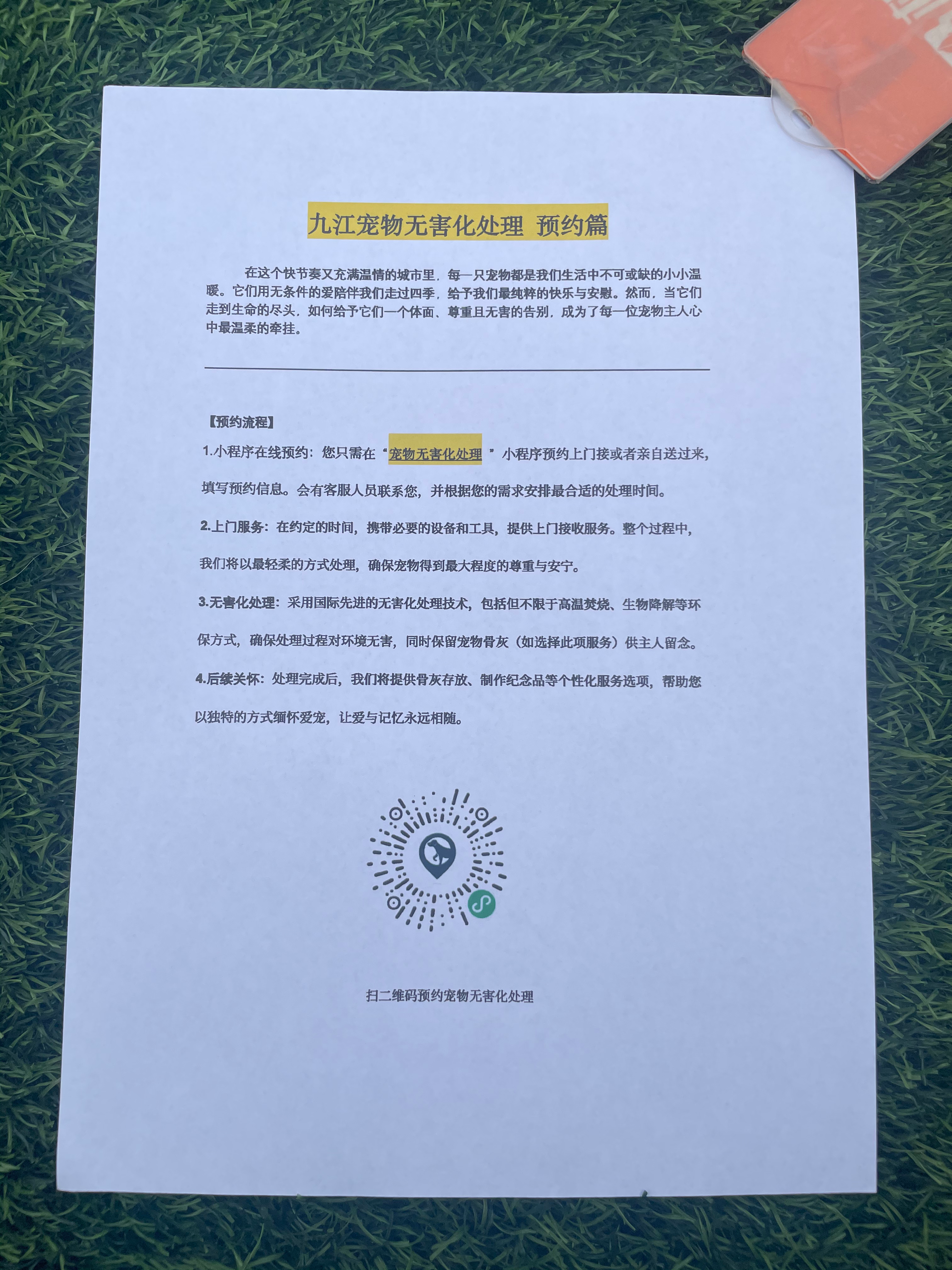 武汉宠物遗体规范处理