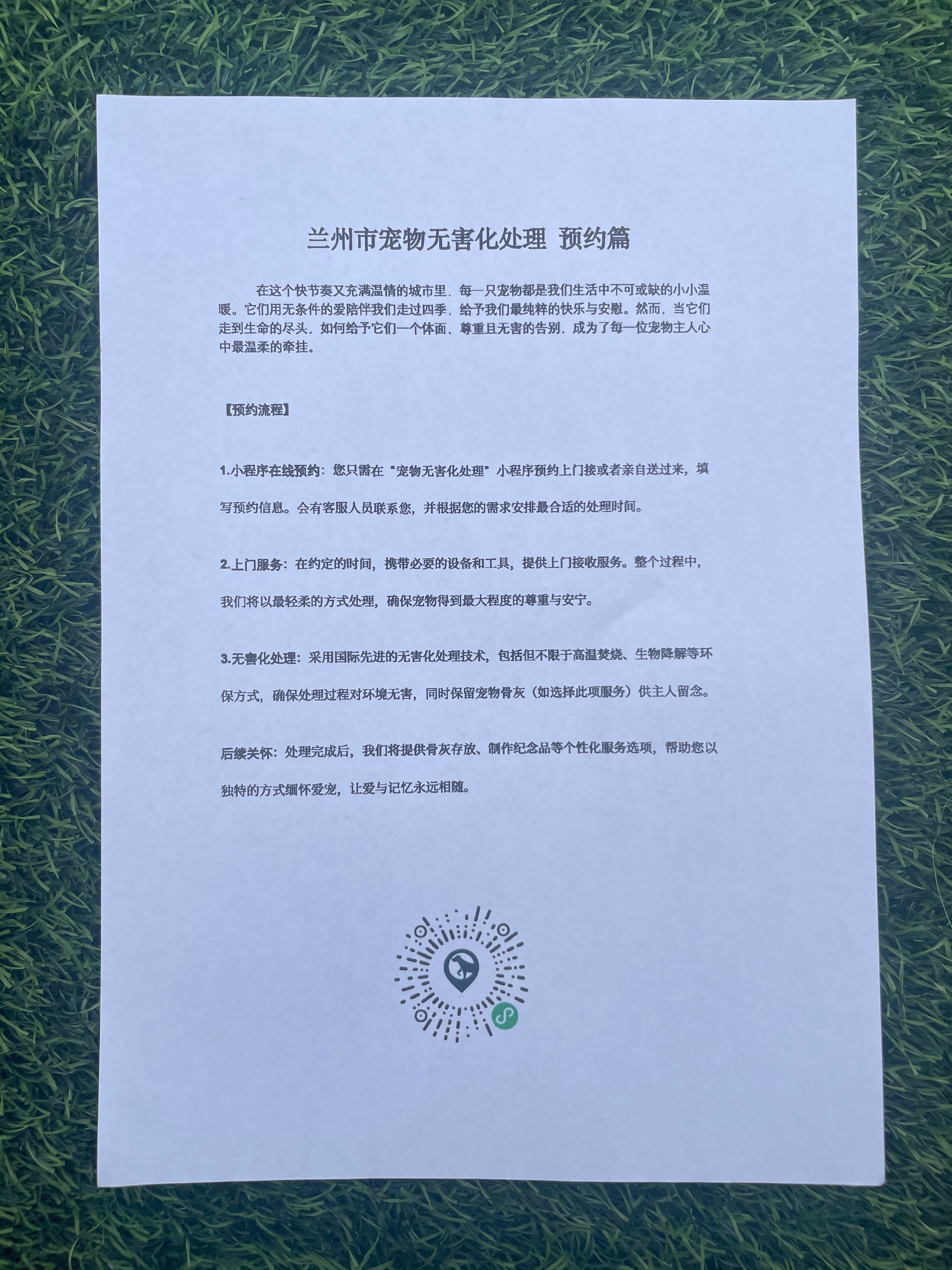 宁都宠物无害化处理