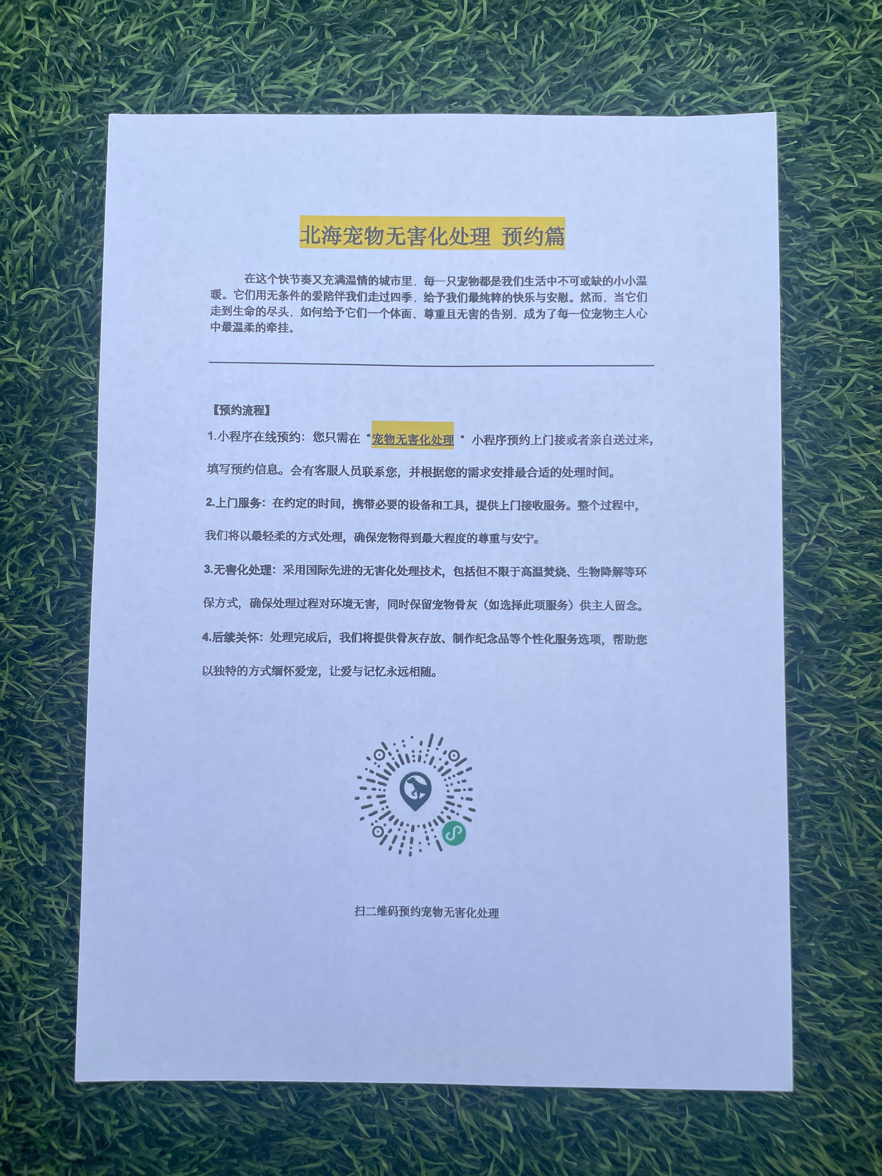 海口宠物无害化处理