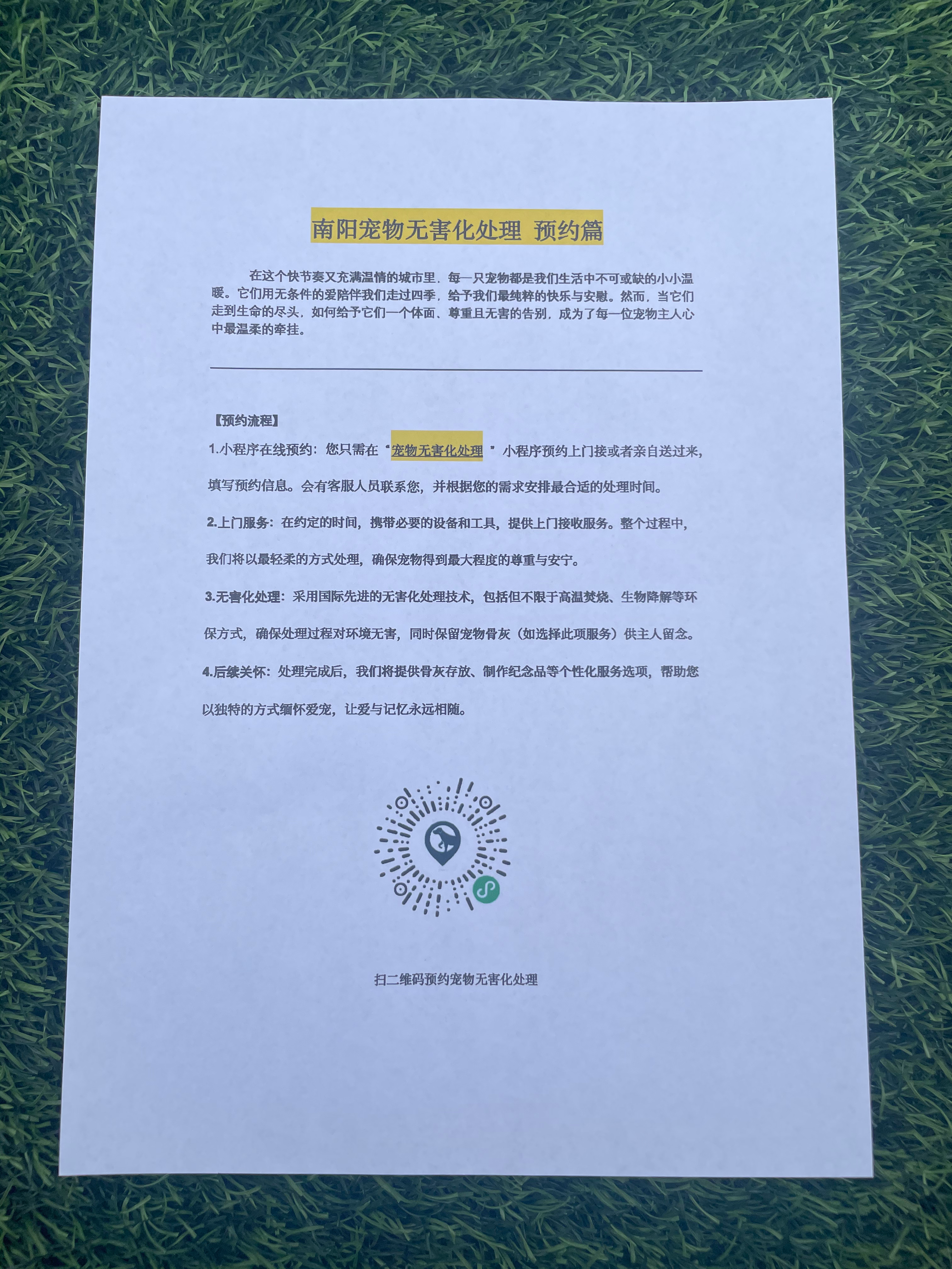 宁都宠摆渡服务