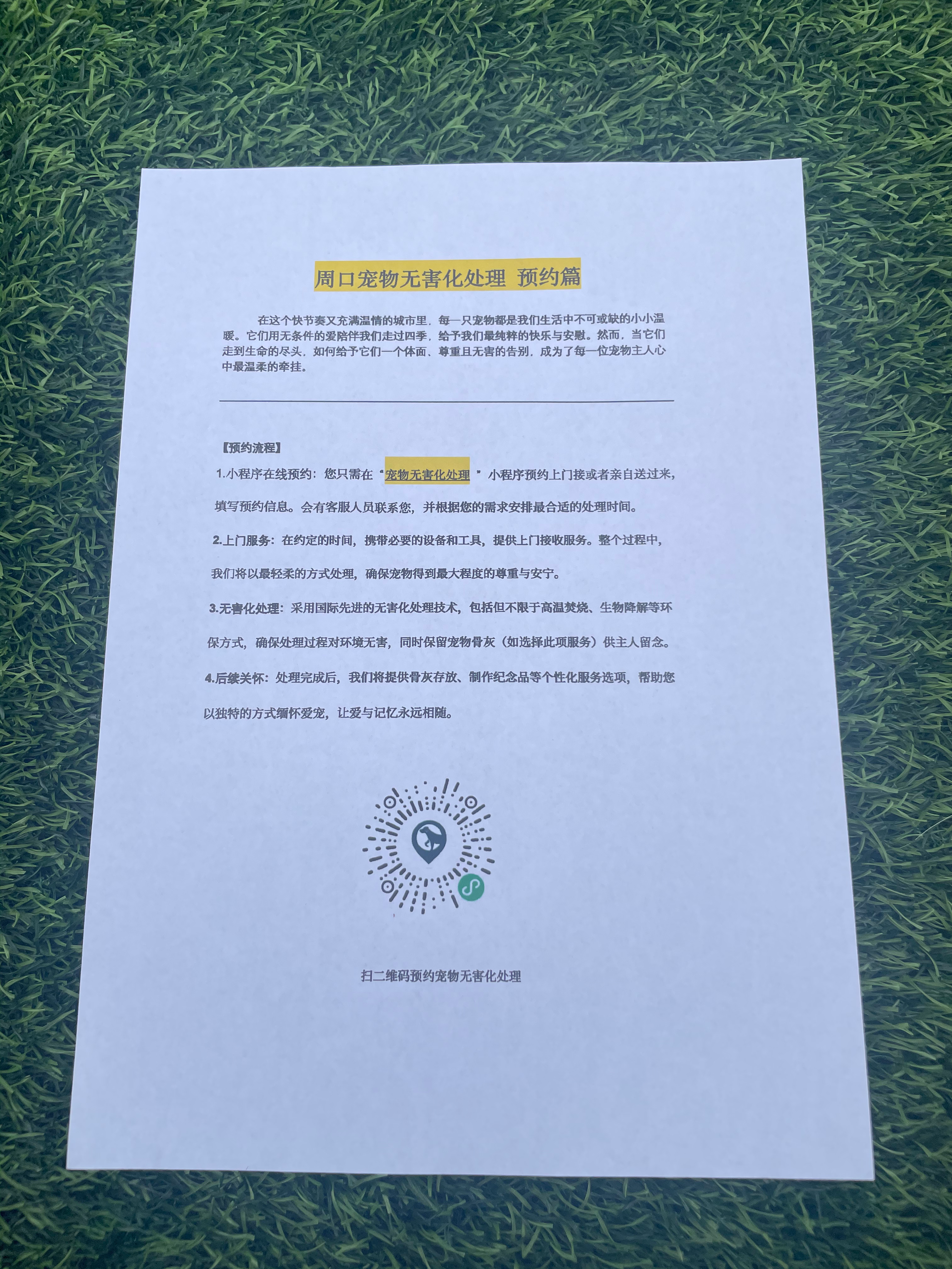 宁都宠物告别