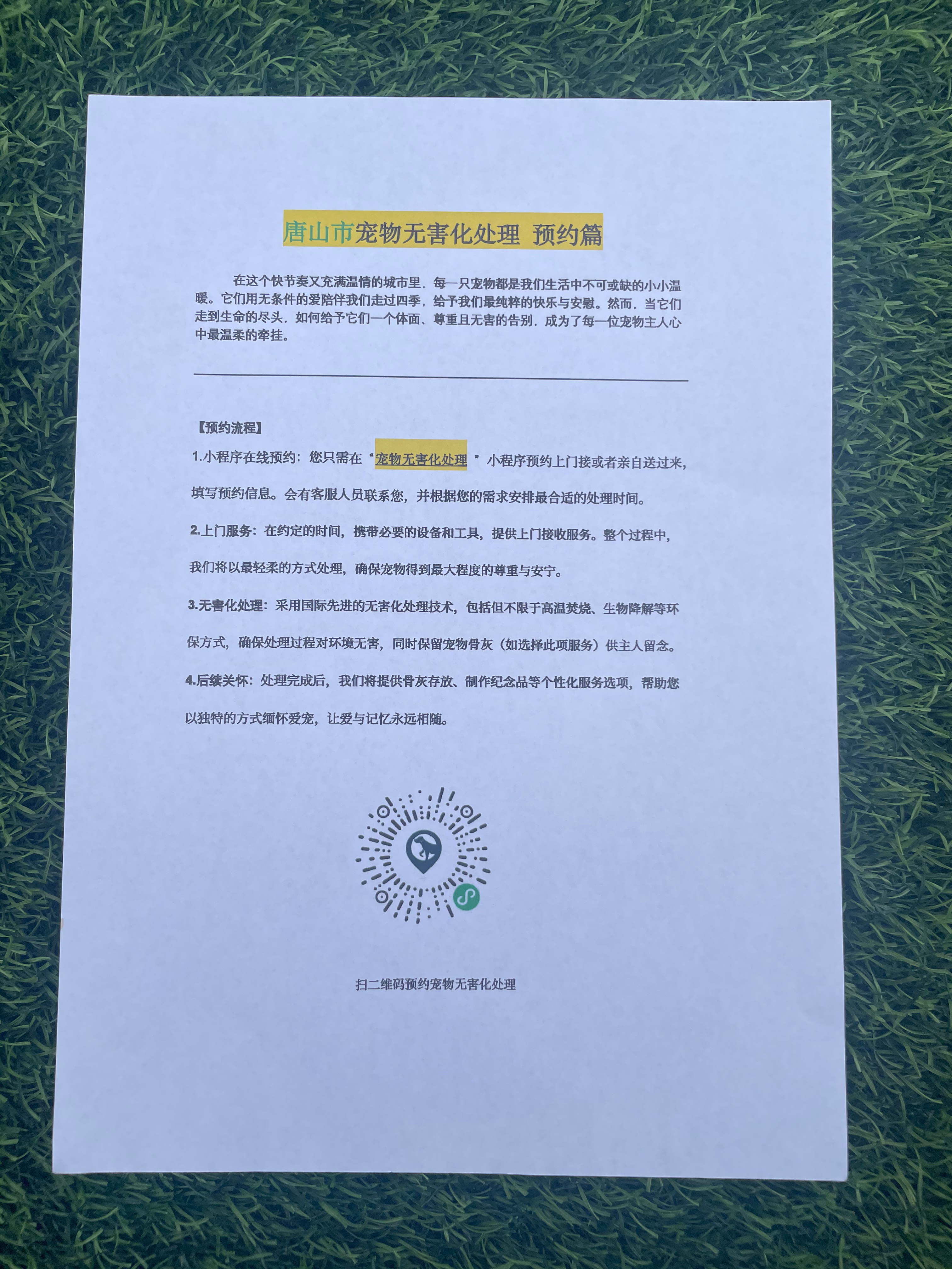 宁都宠物接运服务