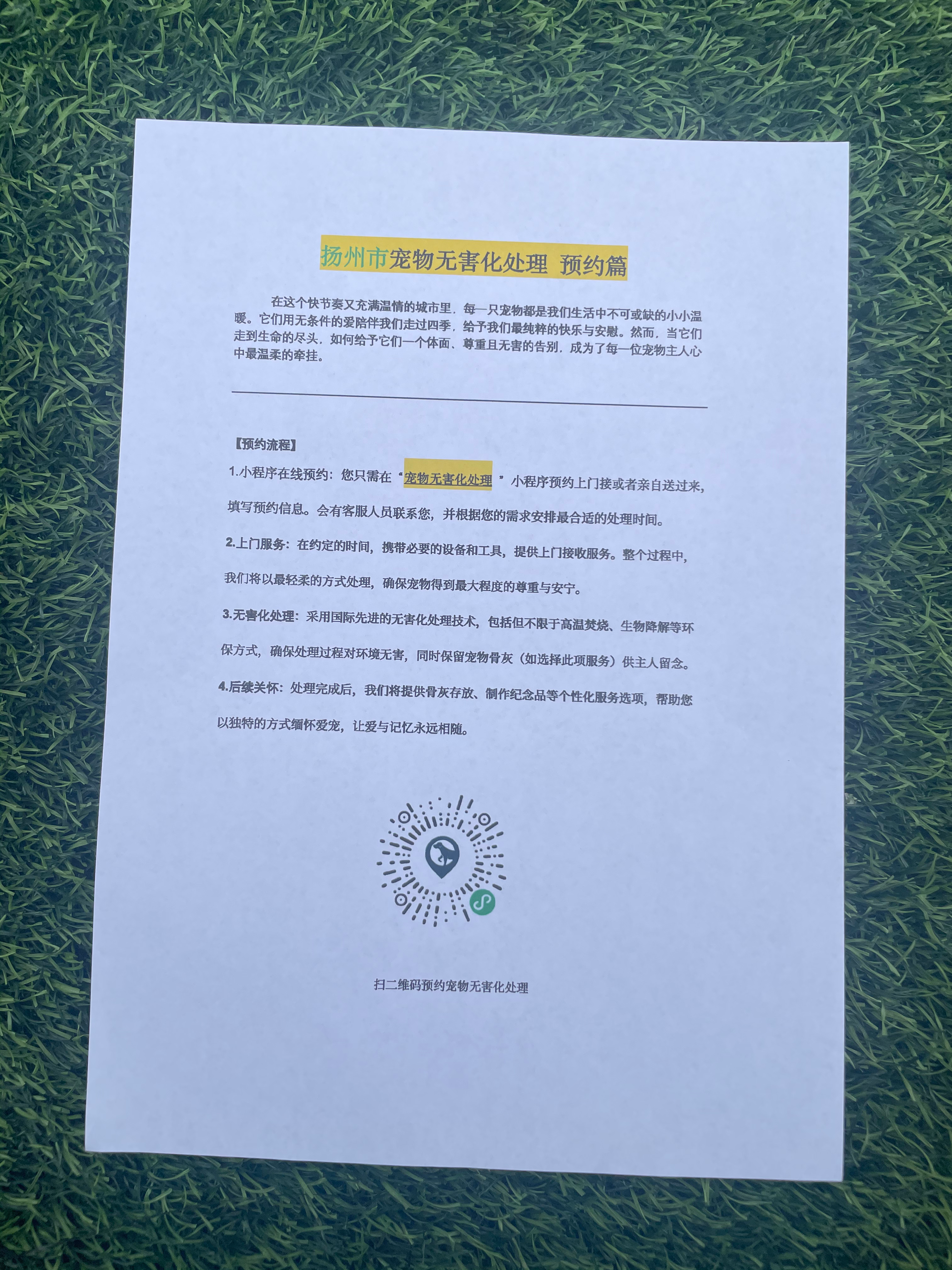 杭州宠物无害化处理