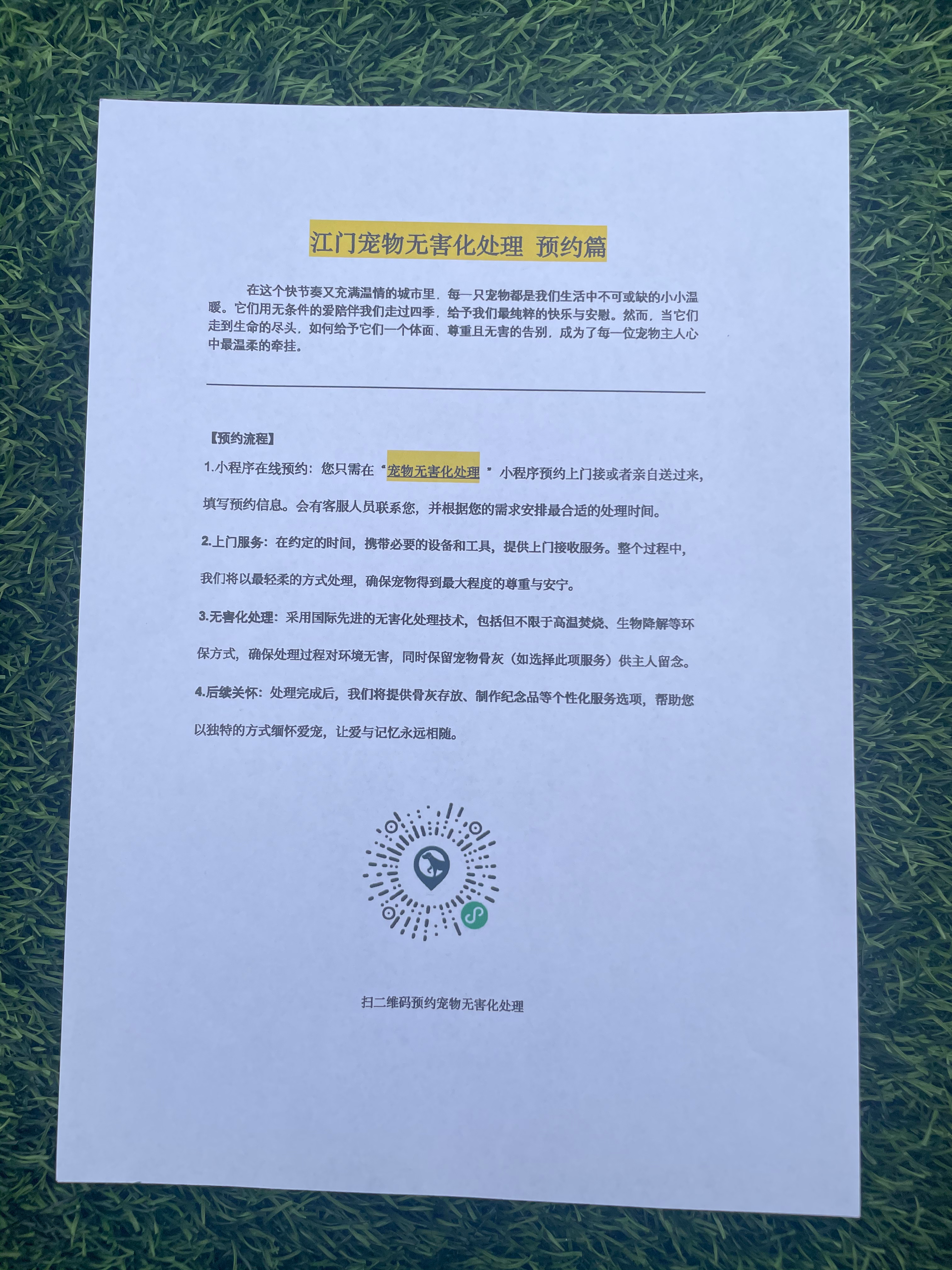 兴国宠物无害化