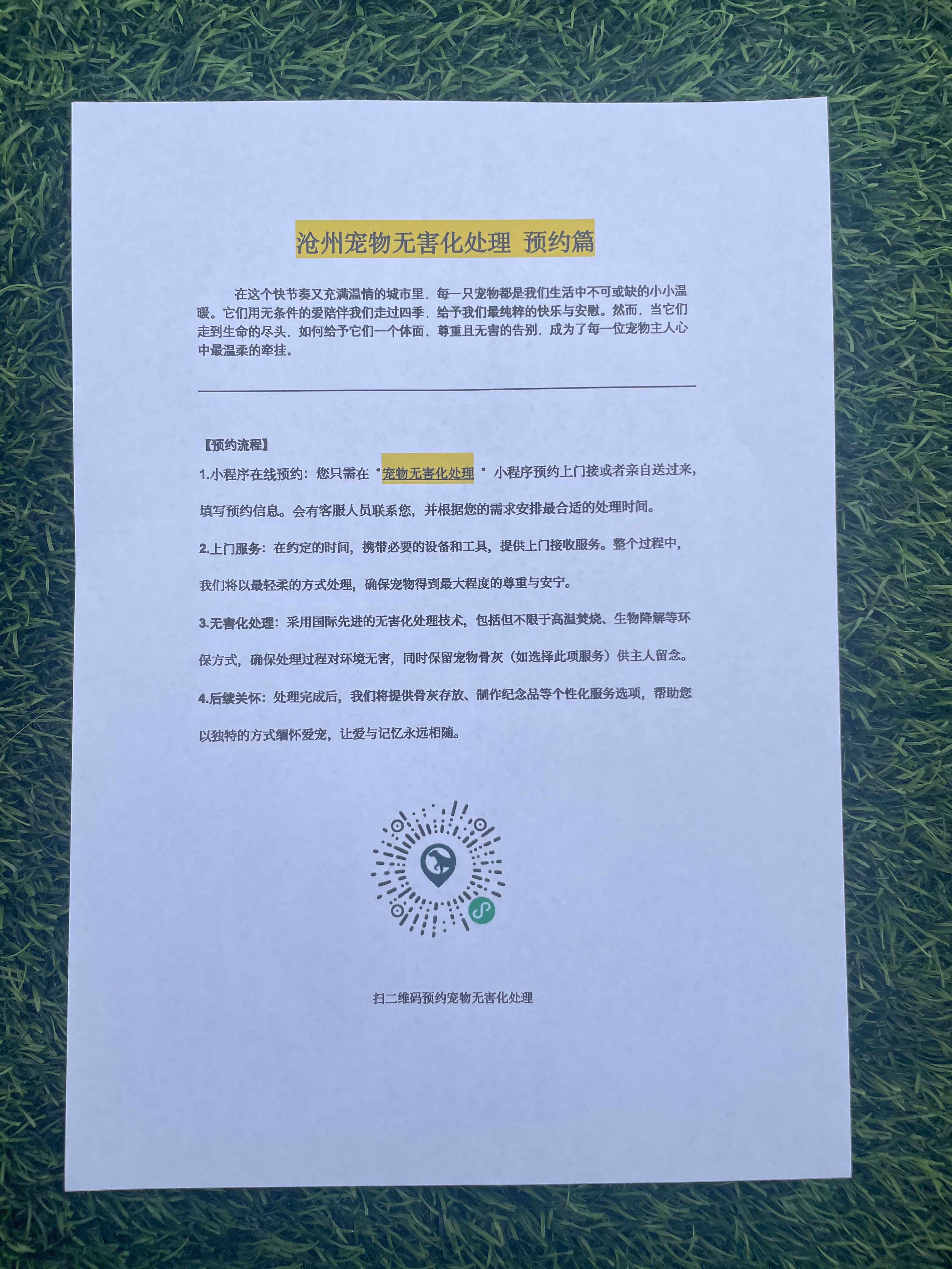 兴国宠摆渡服务