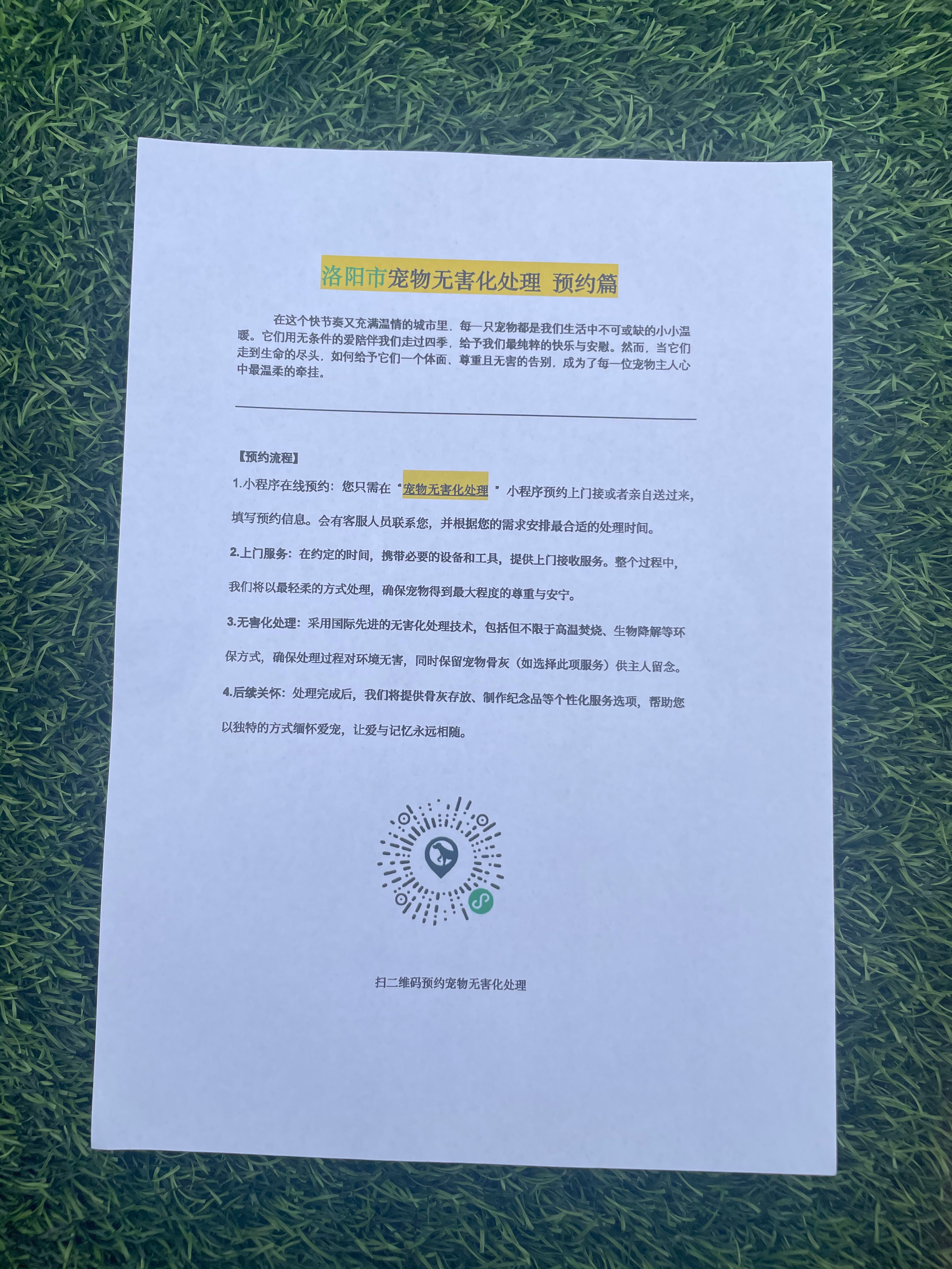 兰州宠物无害化处理