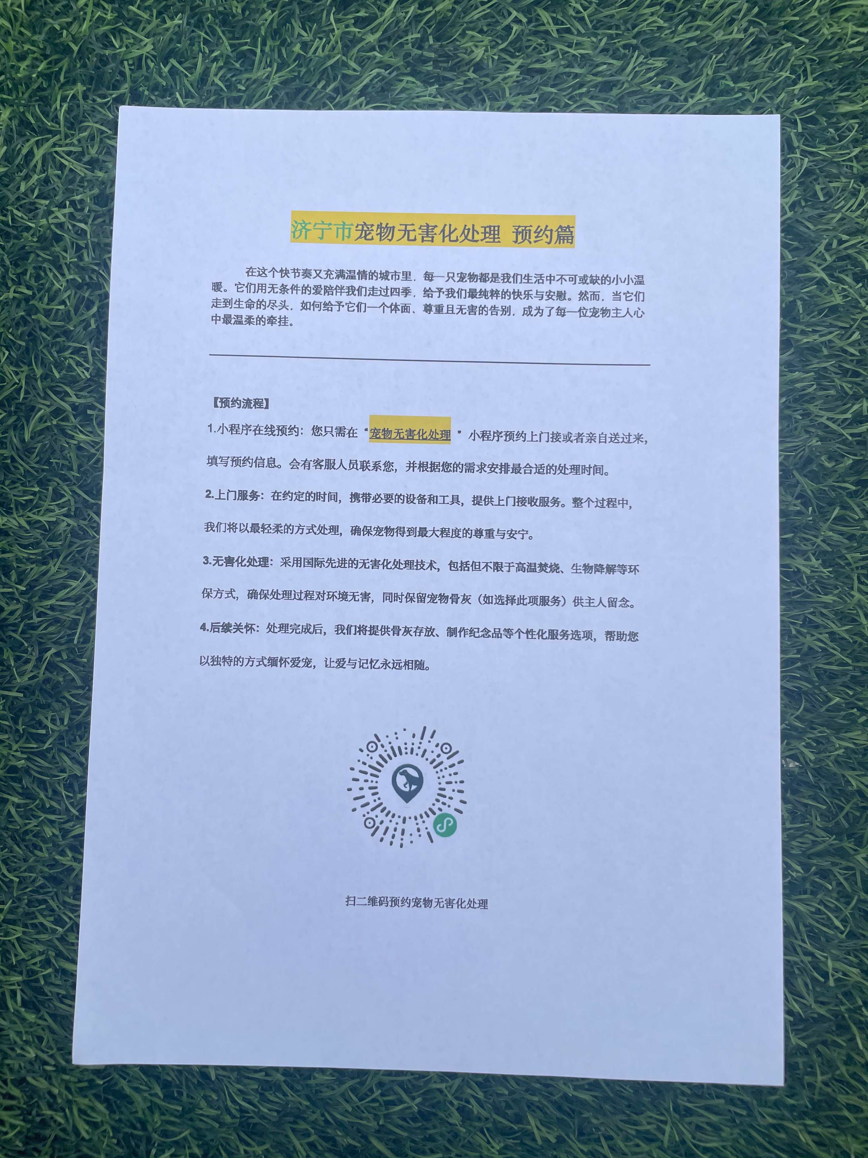 兴国宠物接运服务