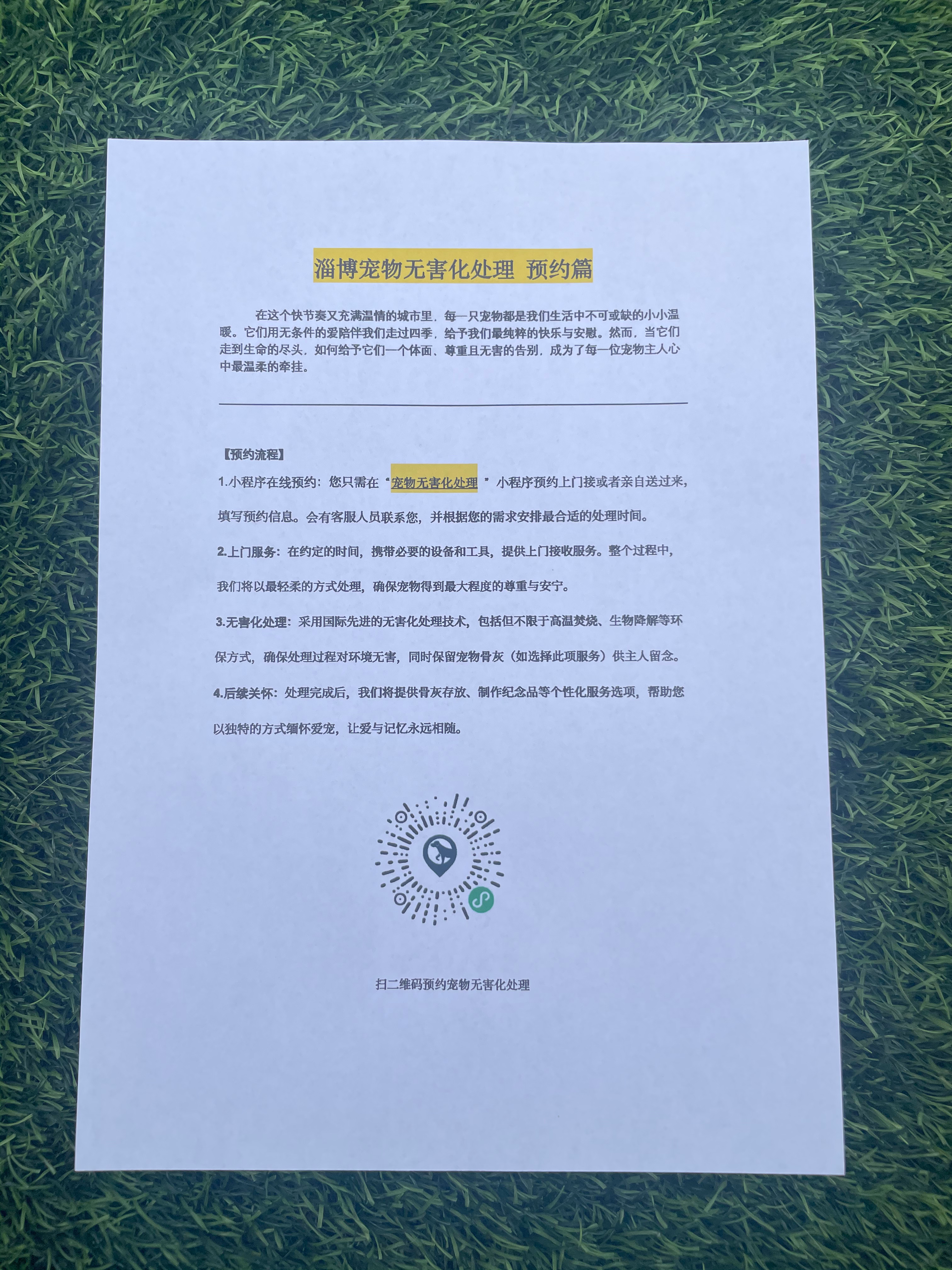 兴国宠物骨灰安置