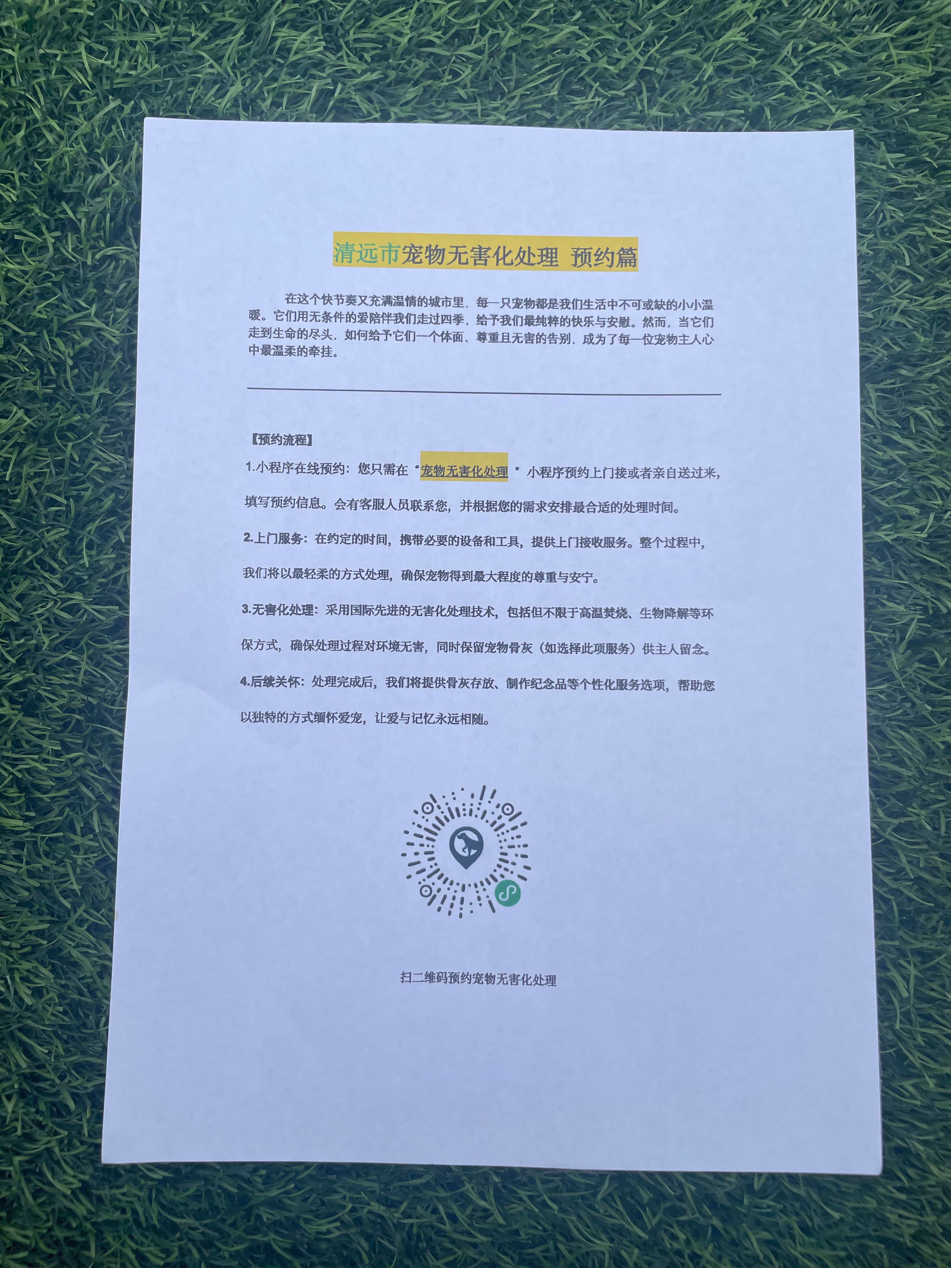 瑞金宠物无害化