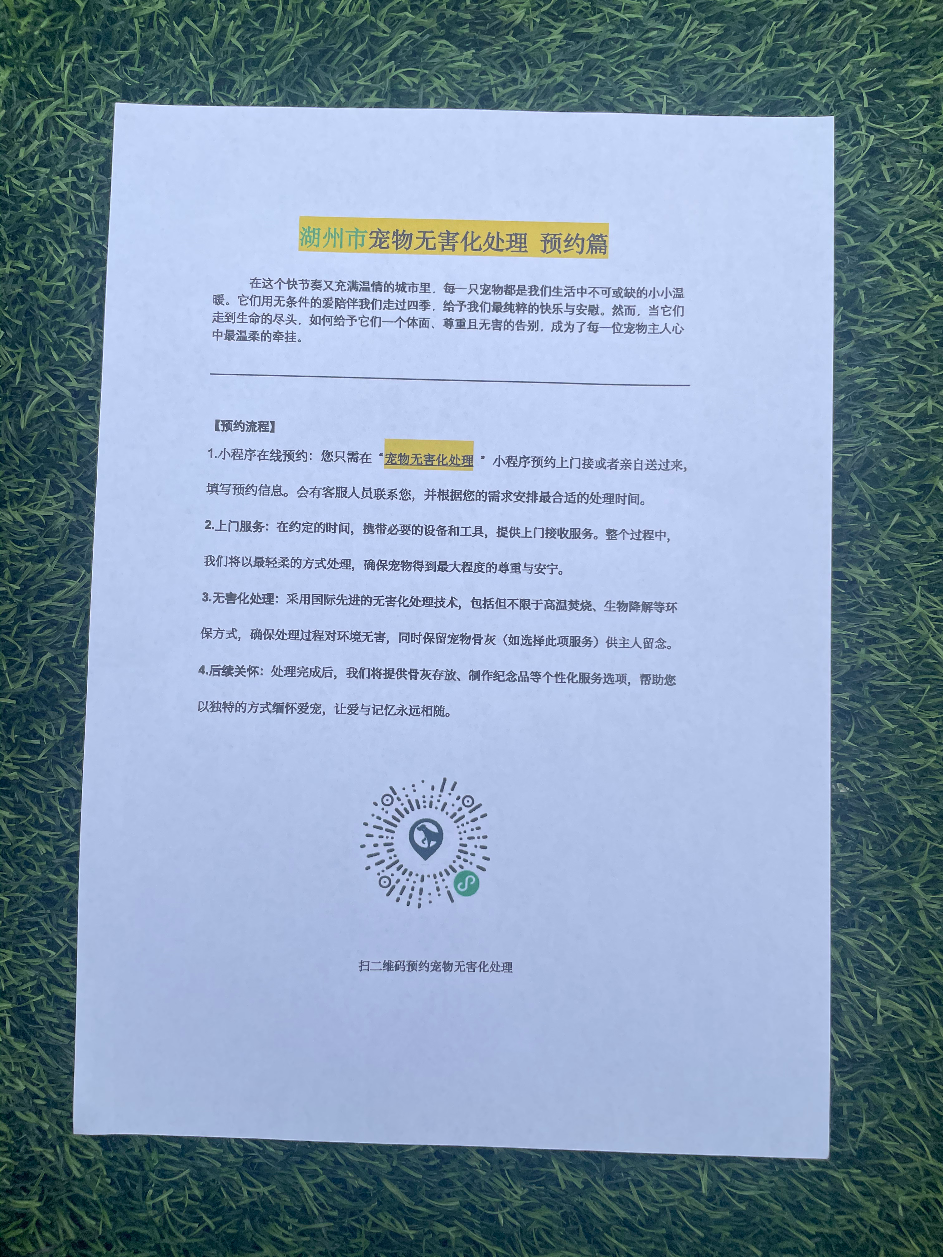 衢州宠物遗体规范处理