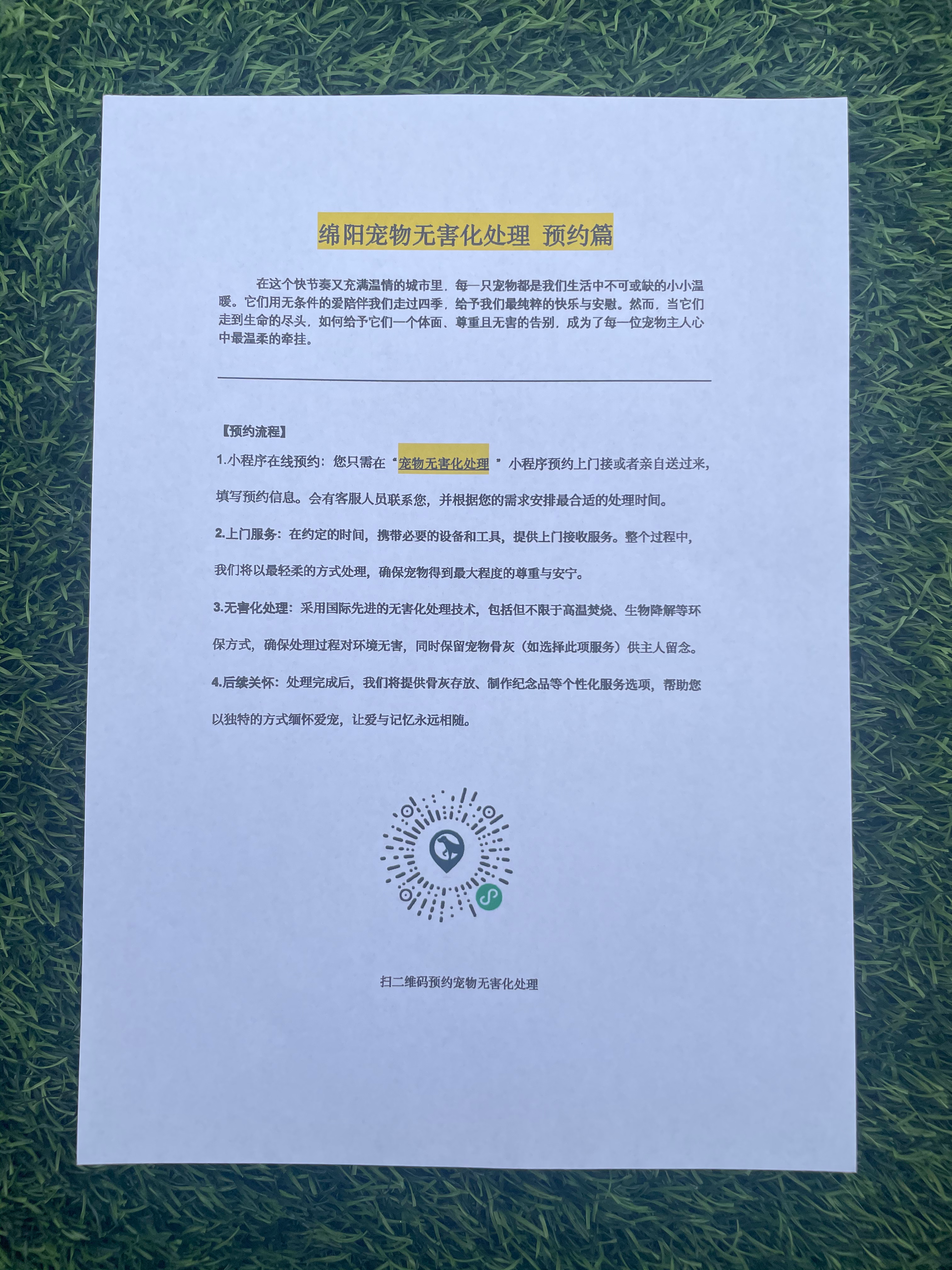 瑞金宠物骨灰安置