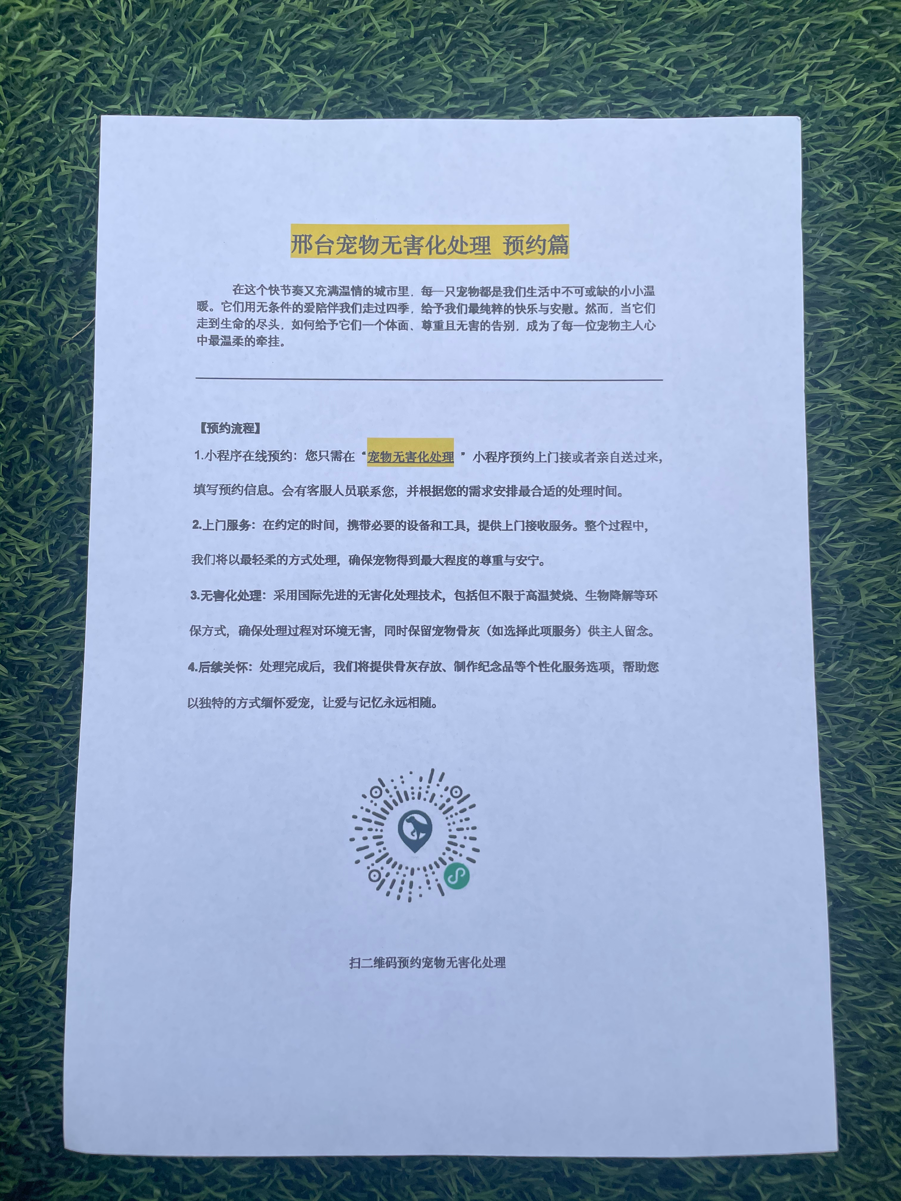阳江宠物无害化处理