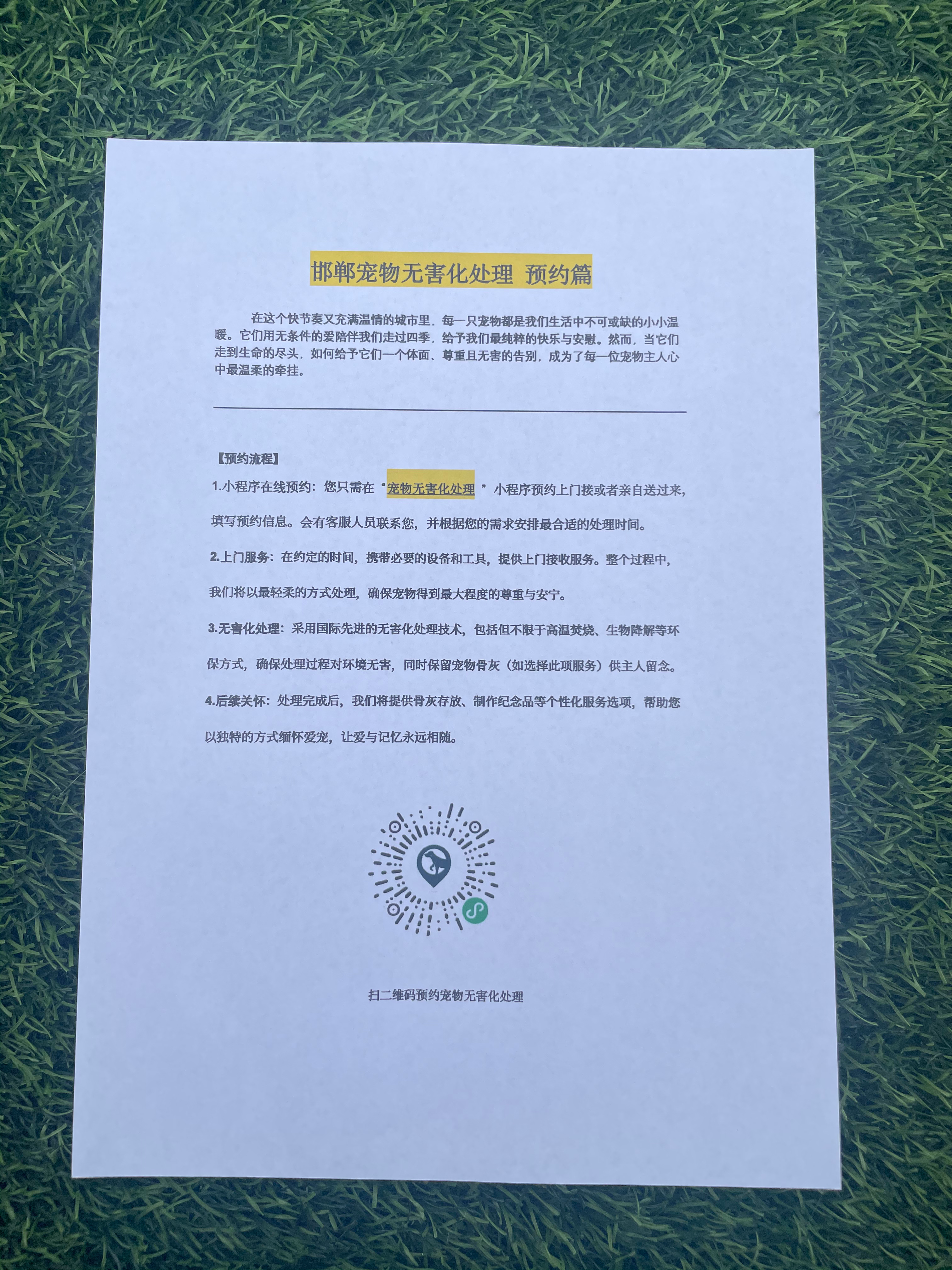 寻乌宠摆渡服务