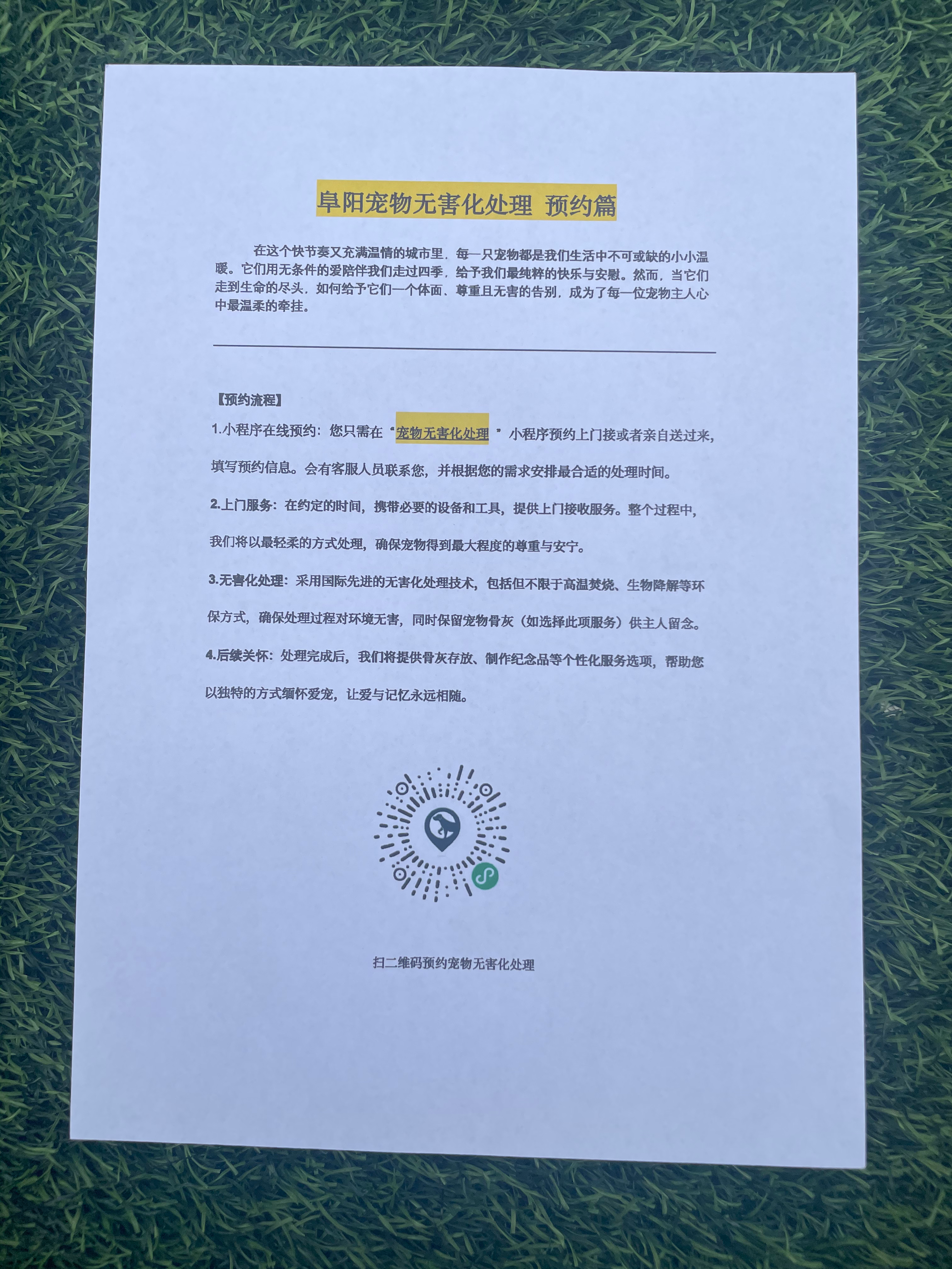 寻乌宠物接运服务