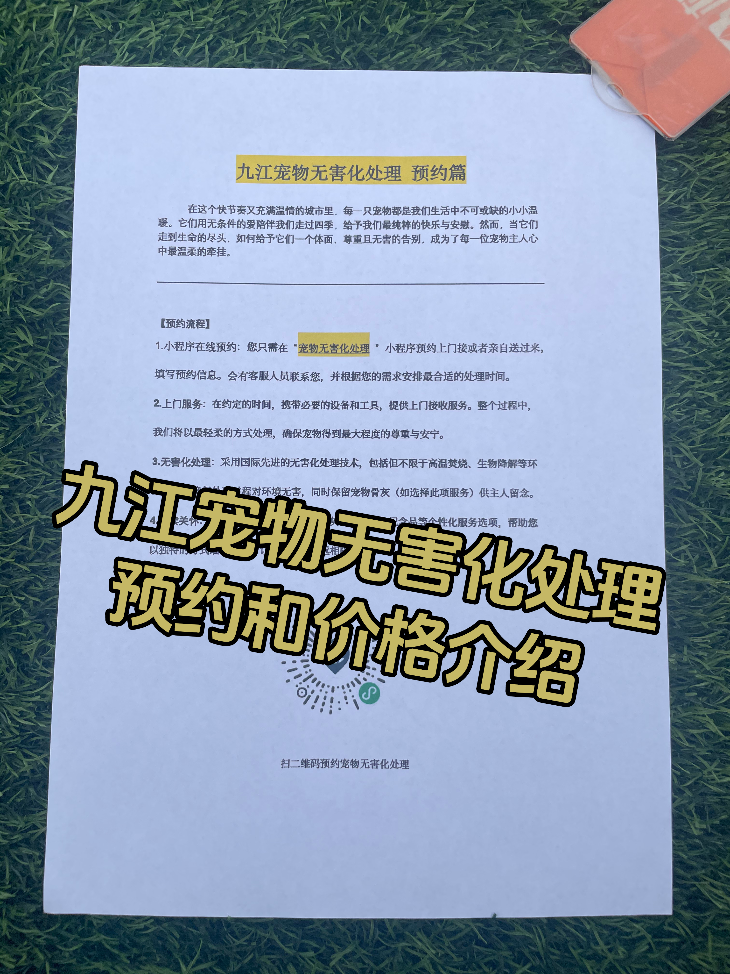 寻乌宠物骨灰安置