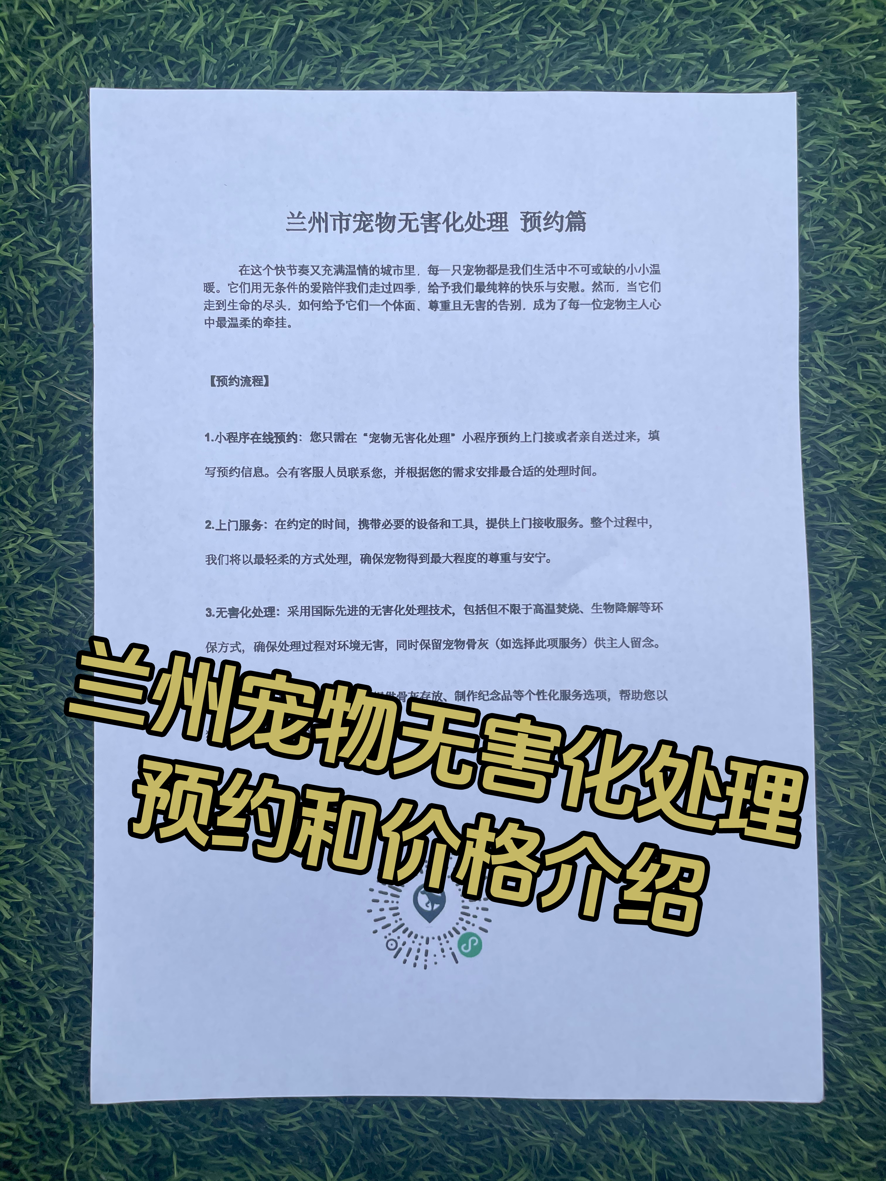 石城宠物无害化