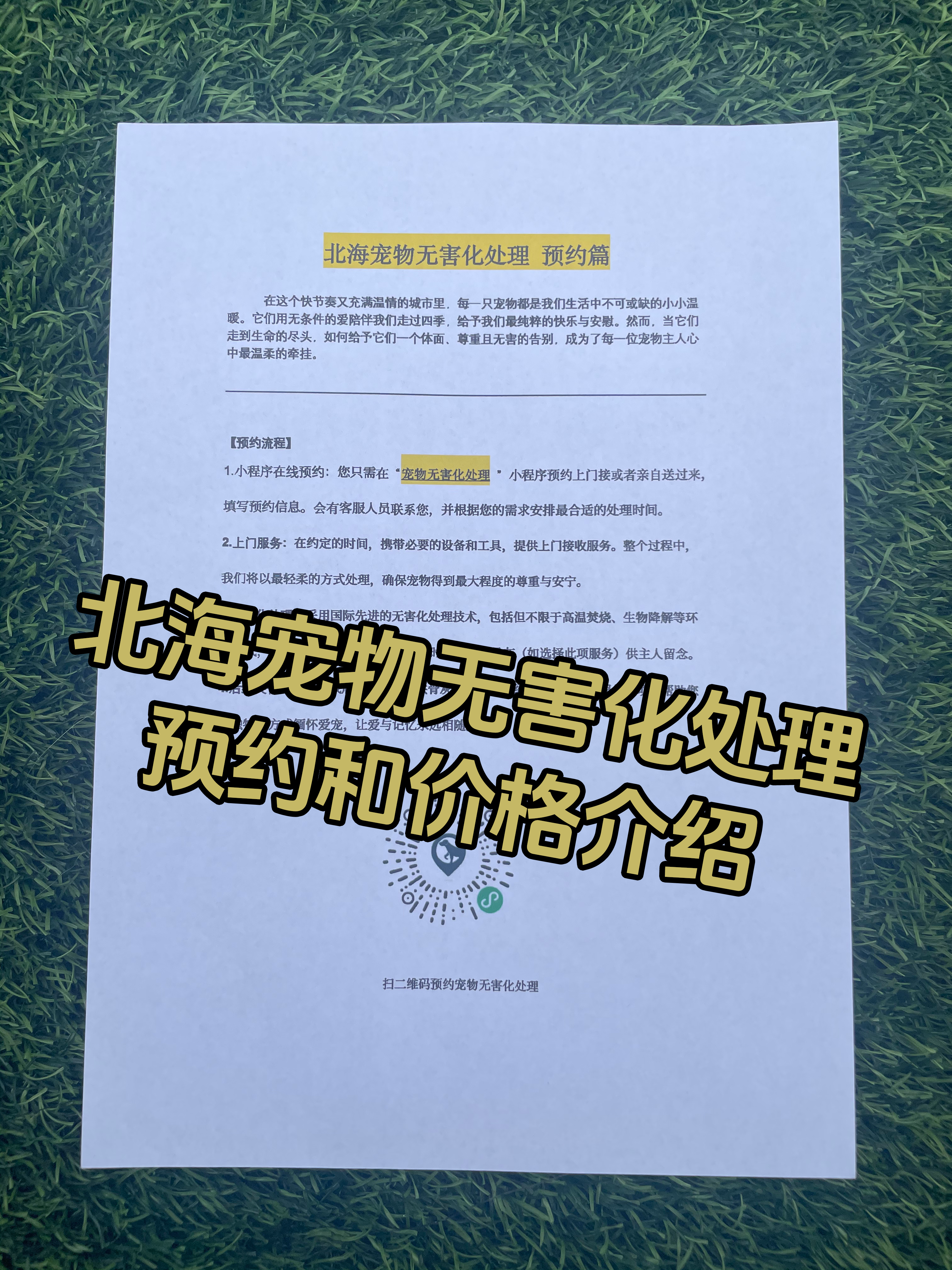 石城宠摆渡服务