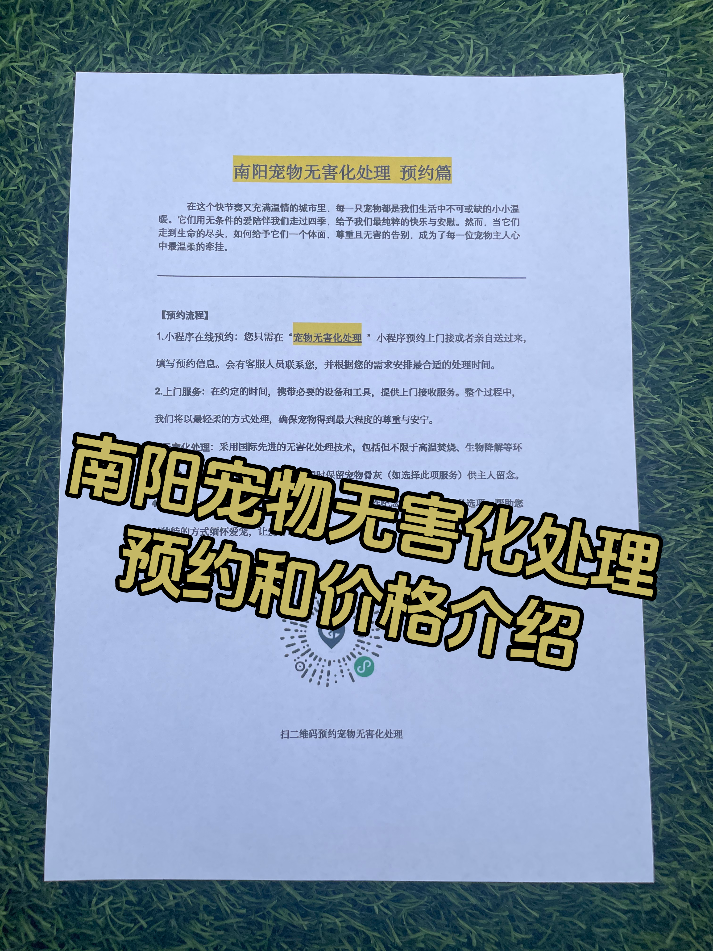 恩施宠物无害化处理