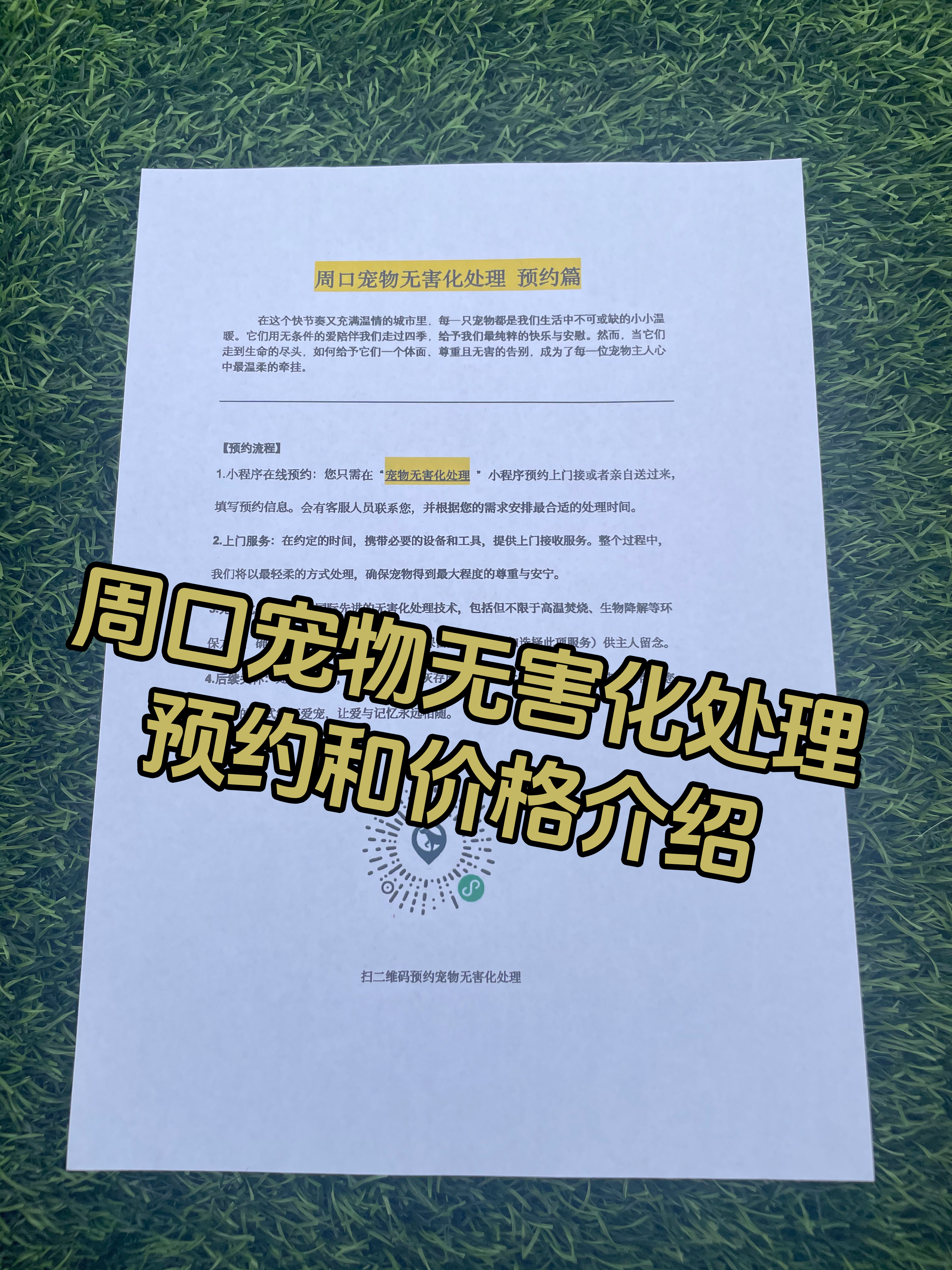 石城宠物无害化处理流程
