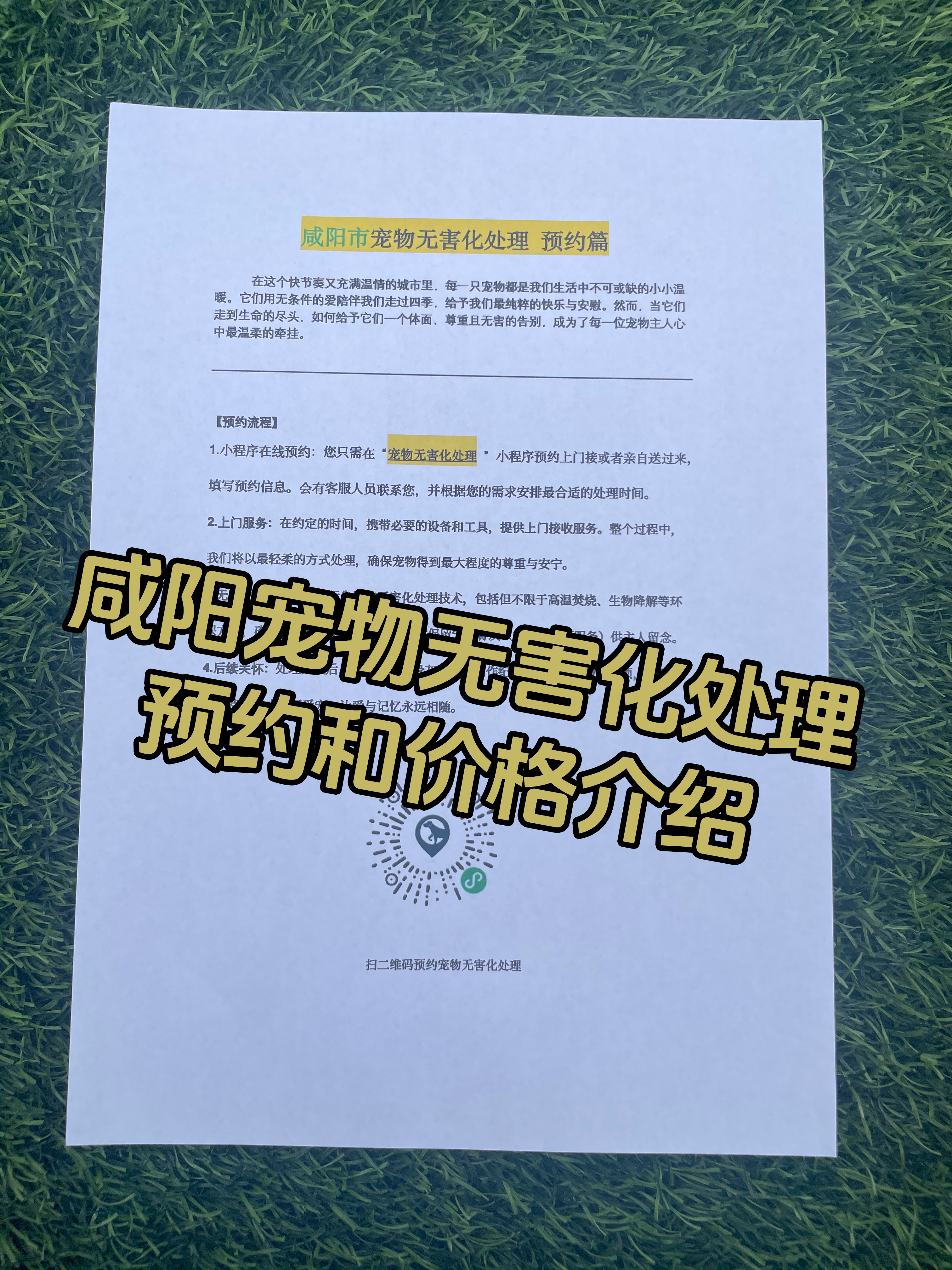 石城宠物接运服务