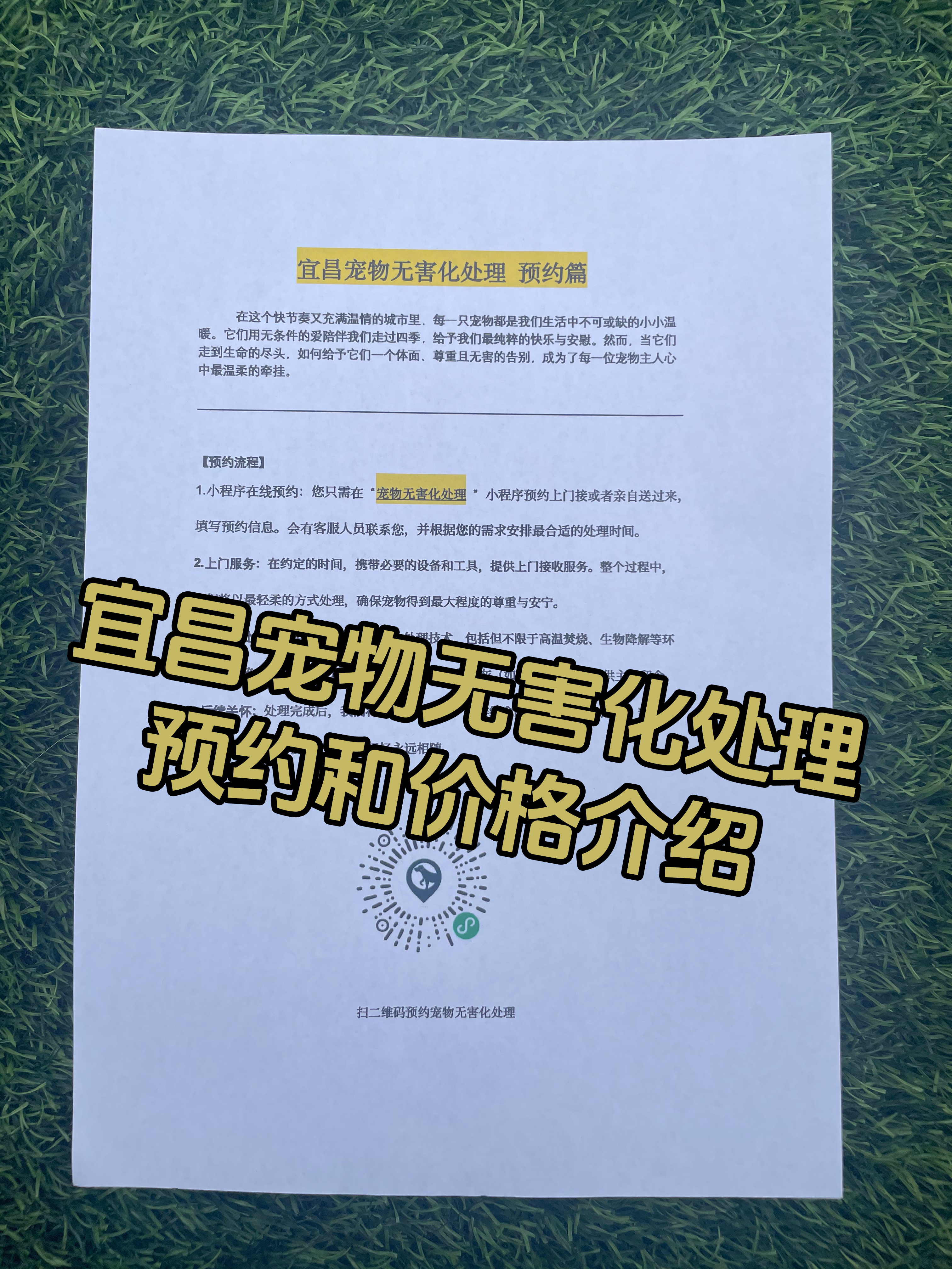 南康宠物无害化