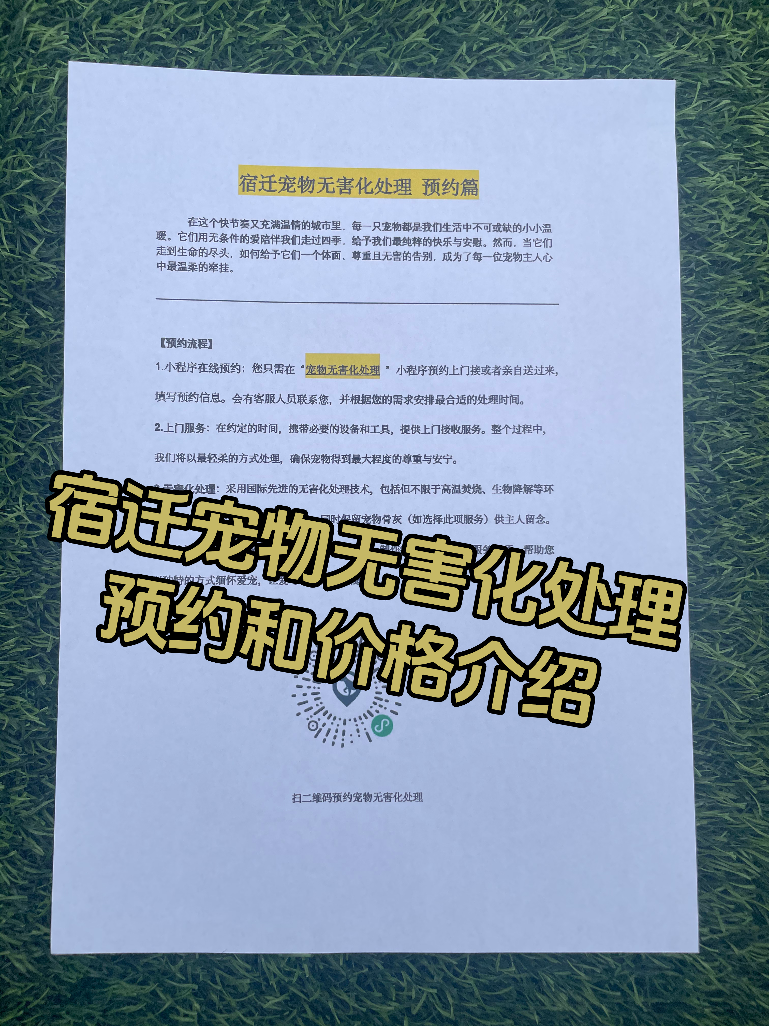 南康宠摆渡服务