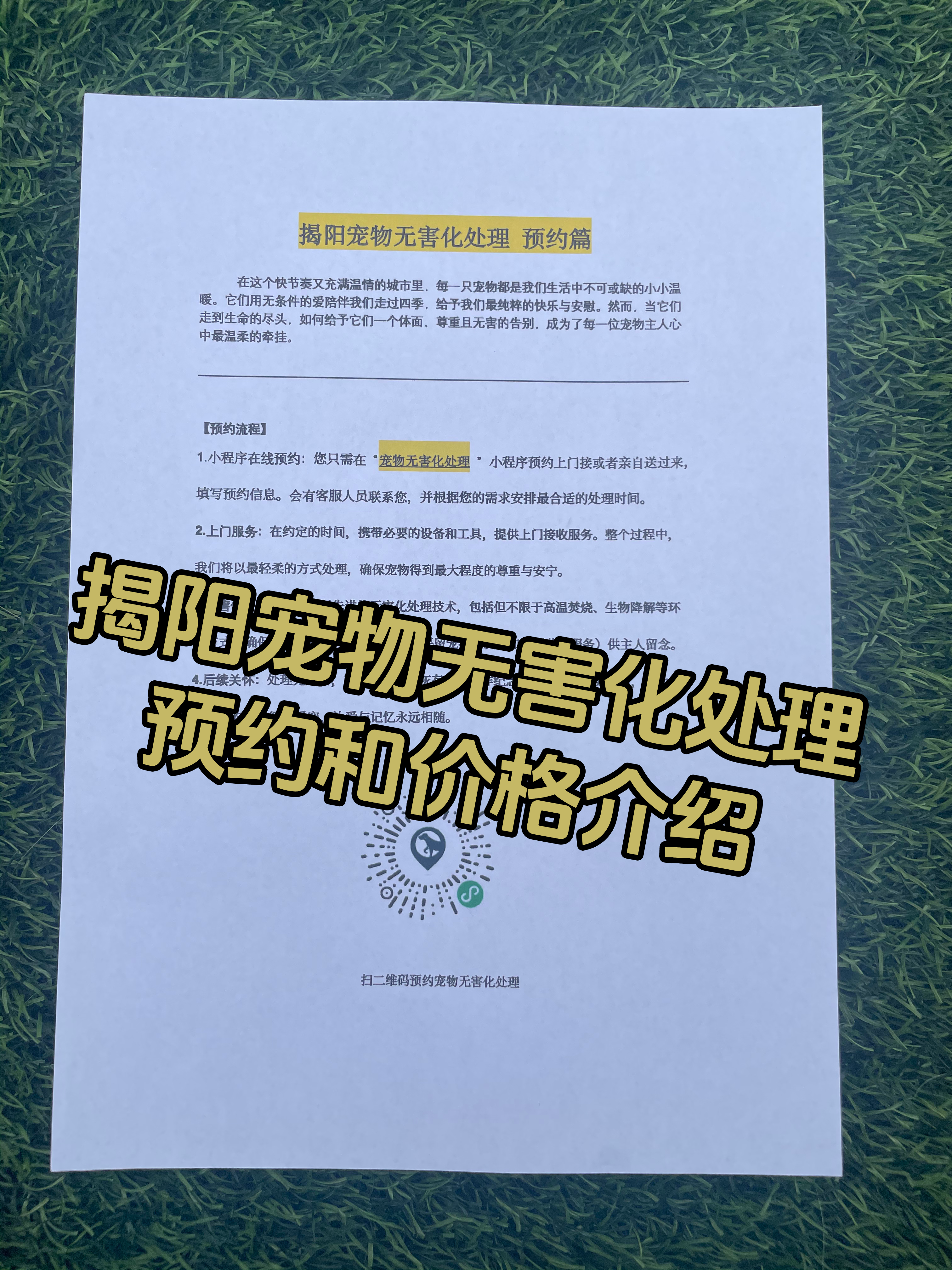 南康宠物接运服务