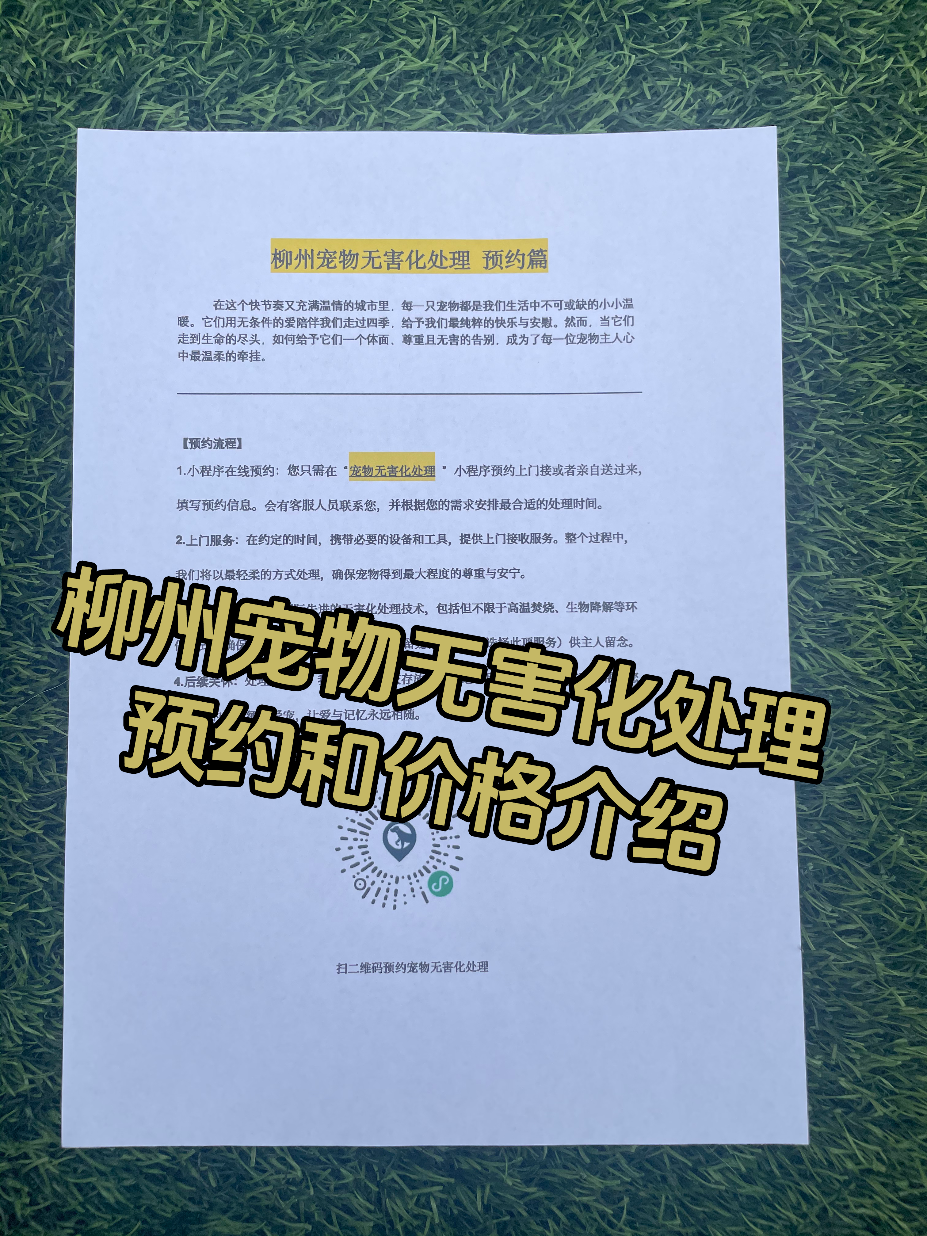 南康宠物骨灰安置