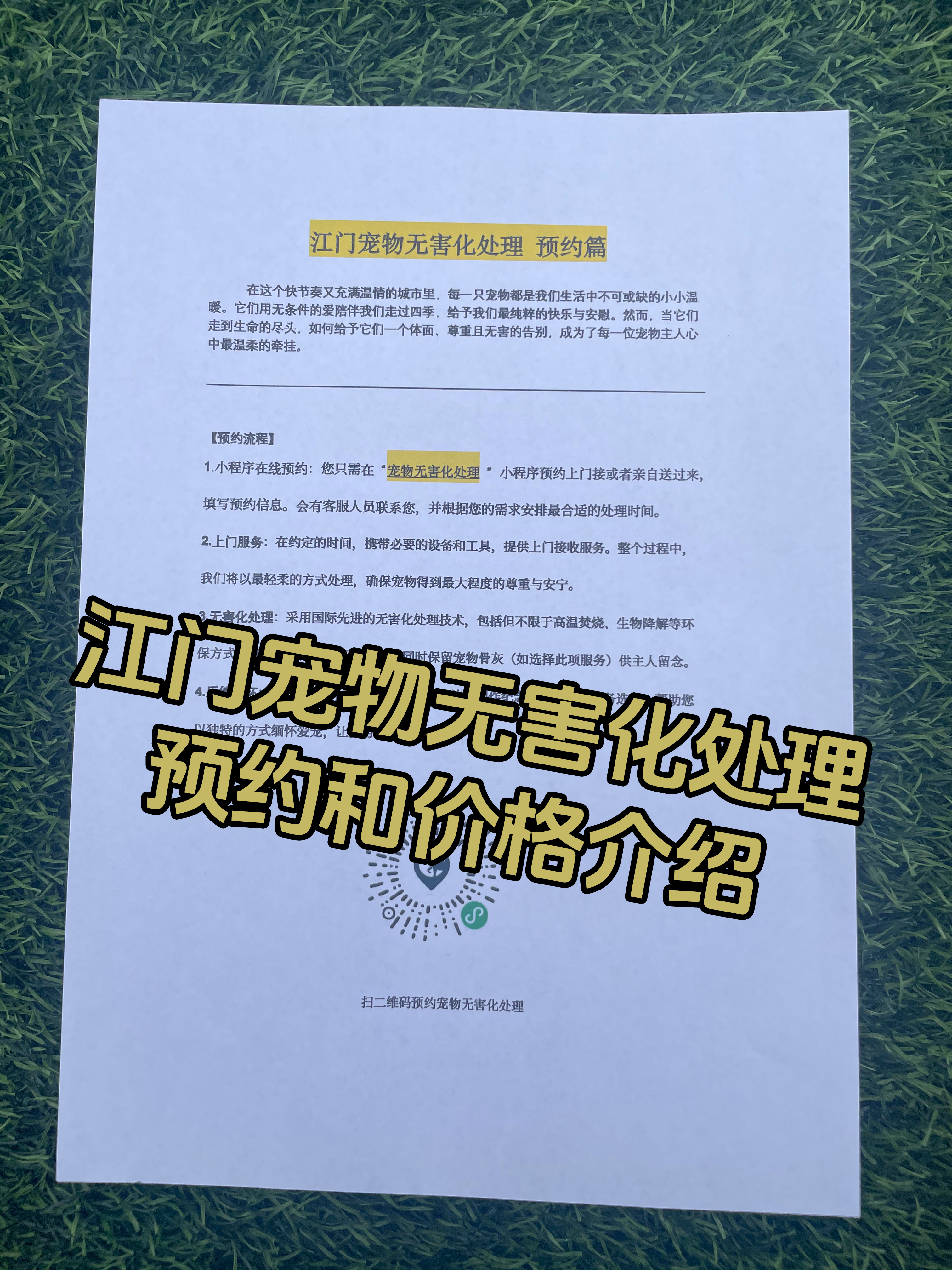 吉水宠摆渡服务