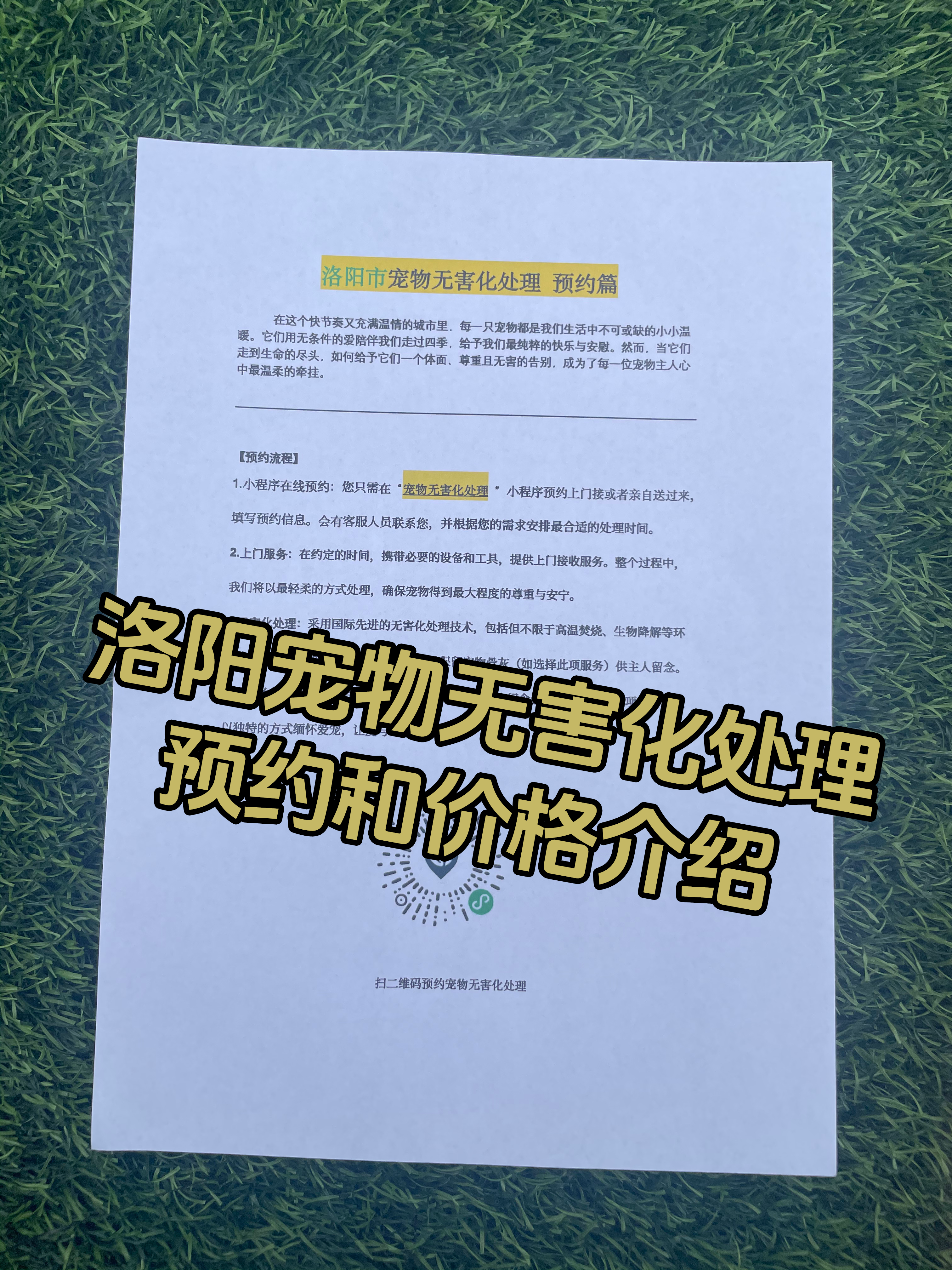 丽水宠物遗体规范处理