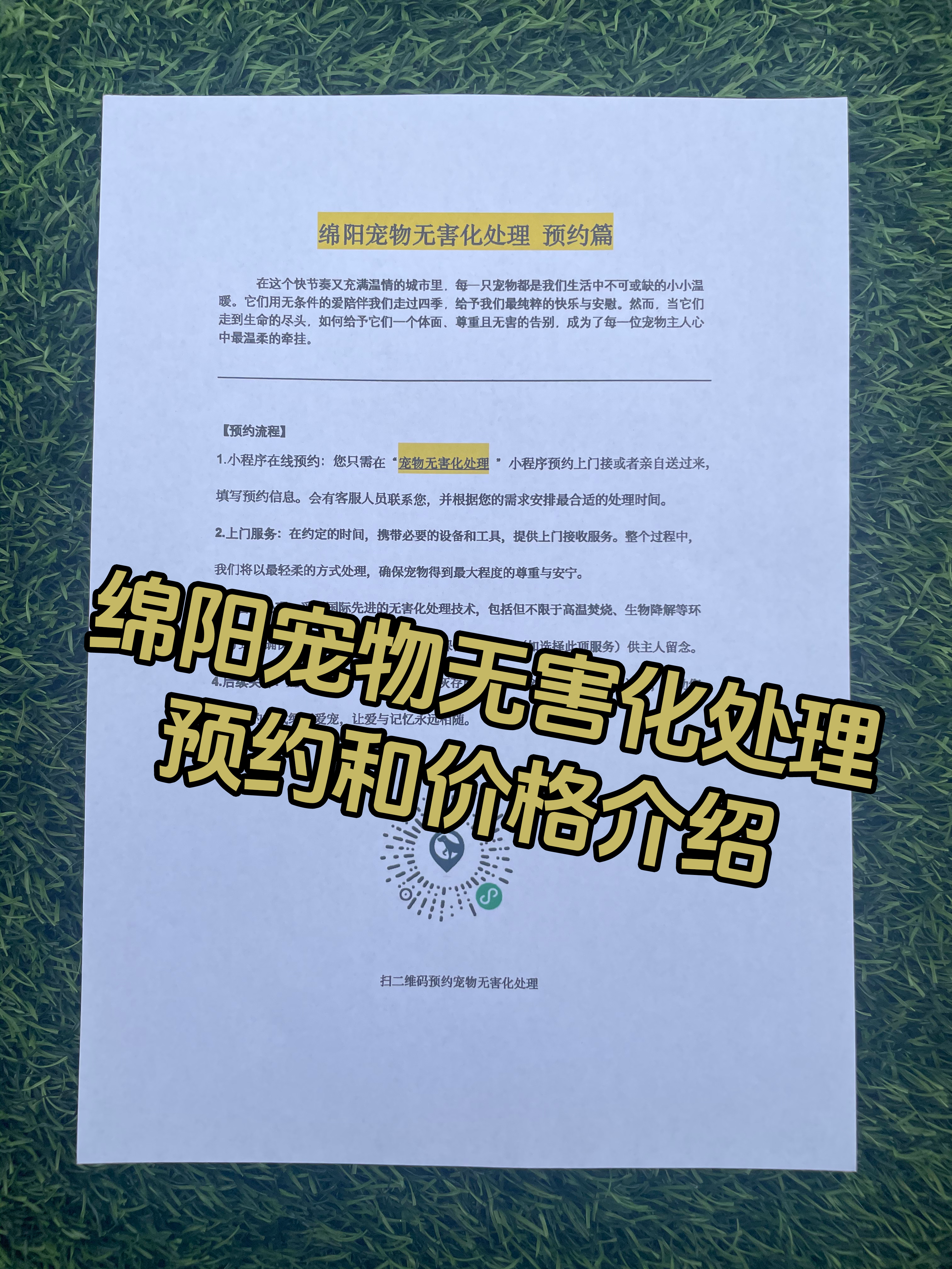 清远宠物无害化处理