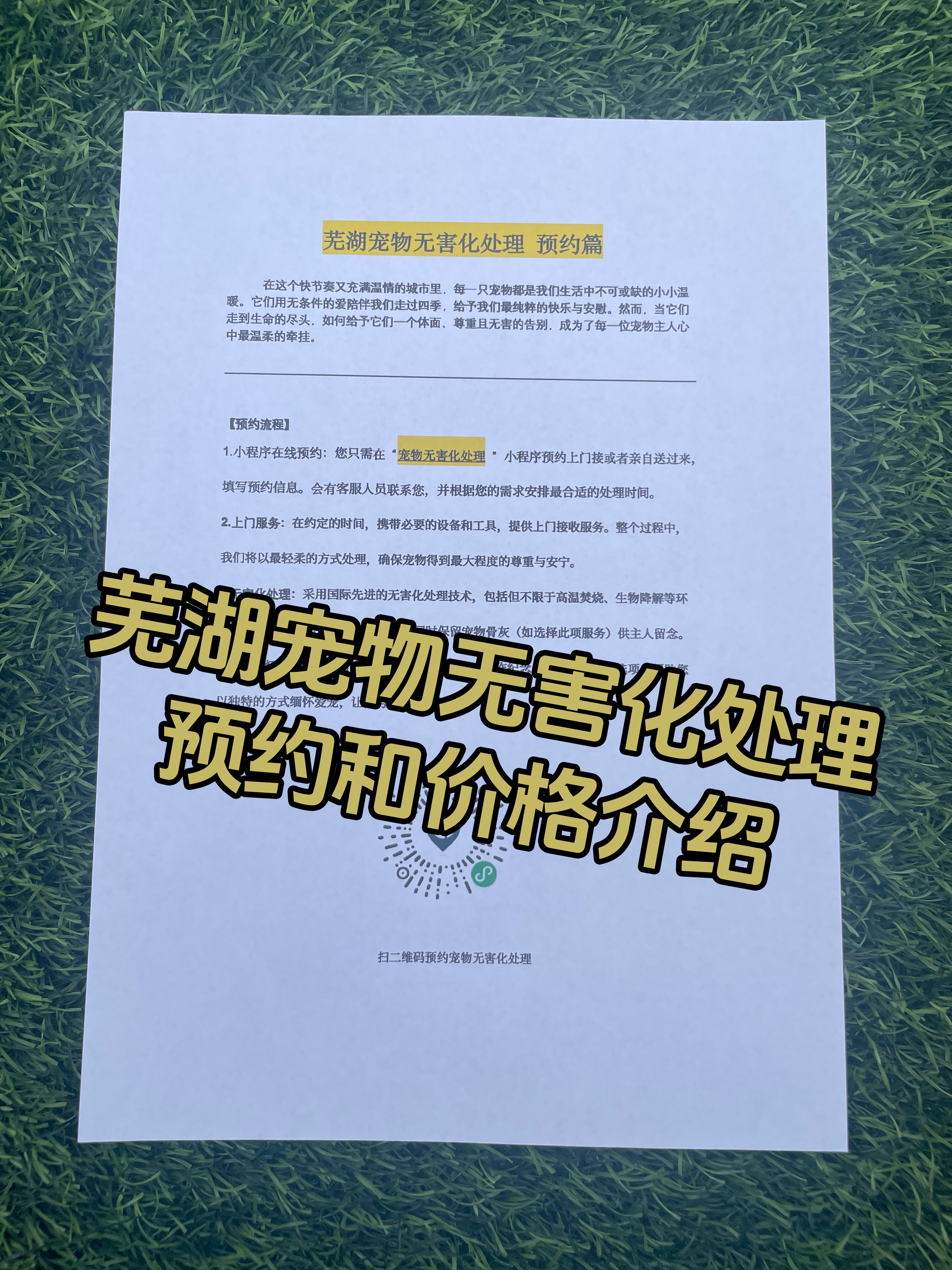 新干宠摆渡服务