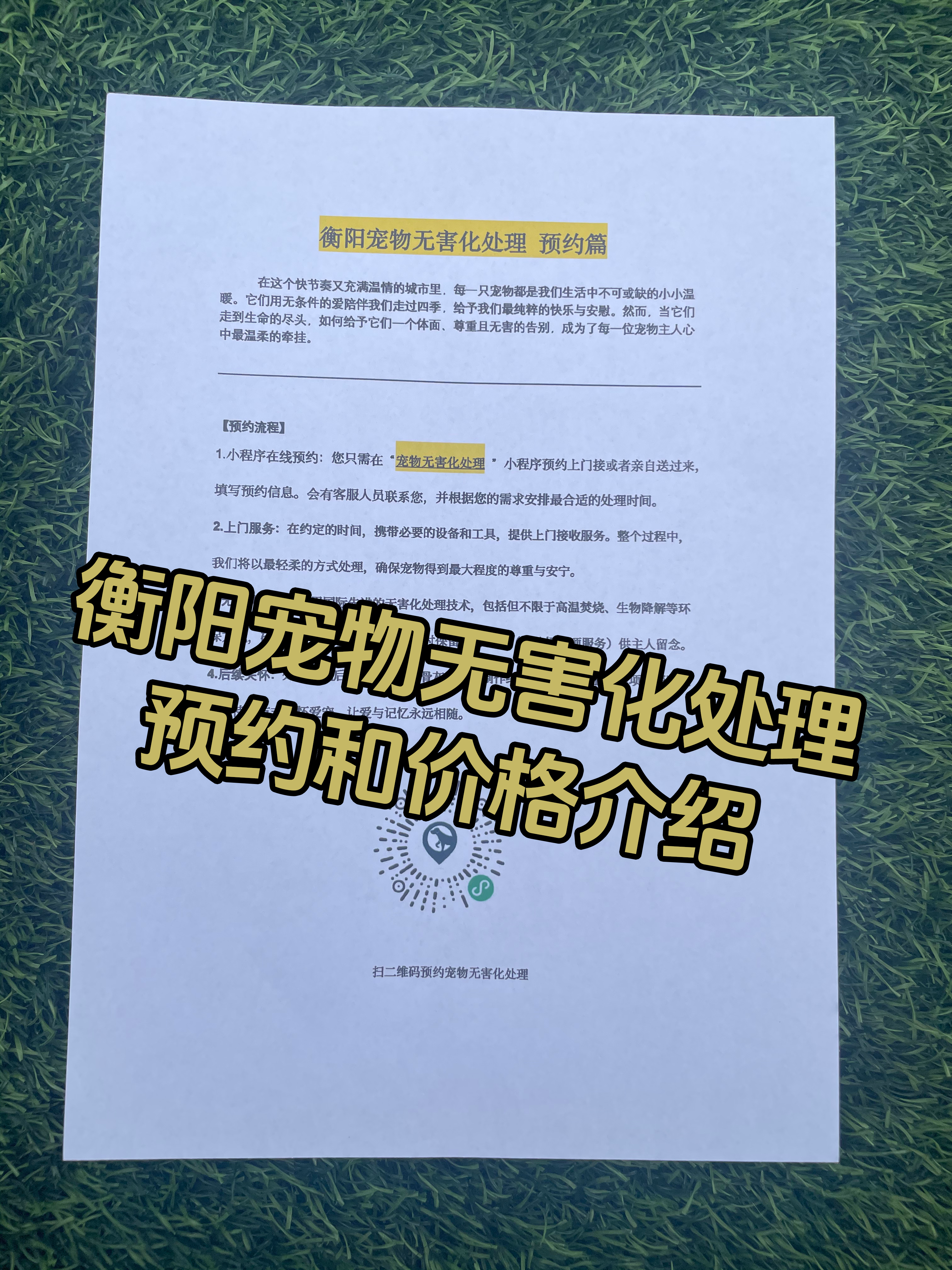 郴州宠物无害化处理机构