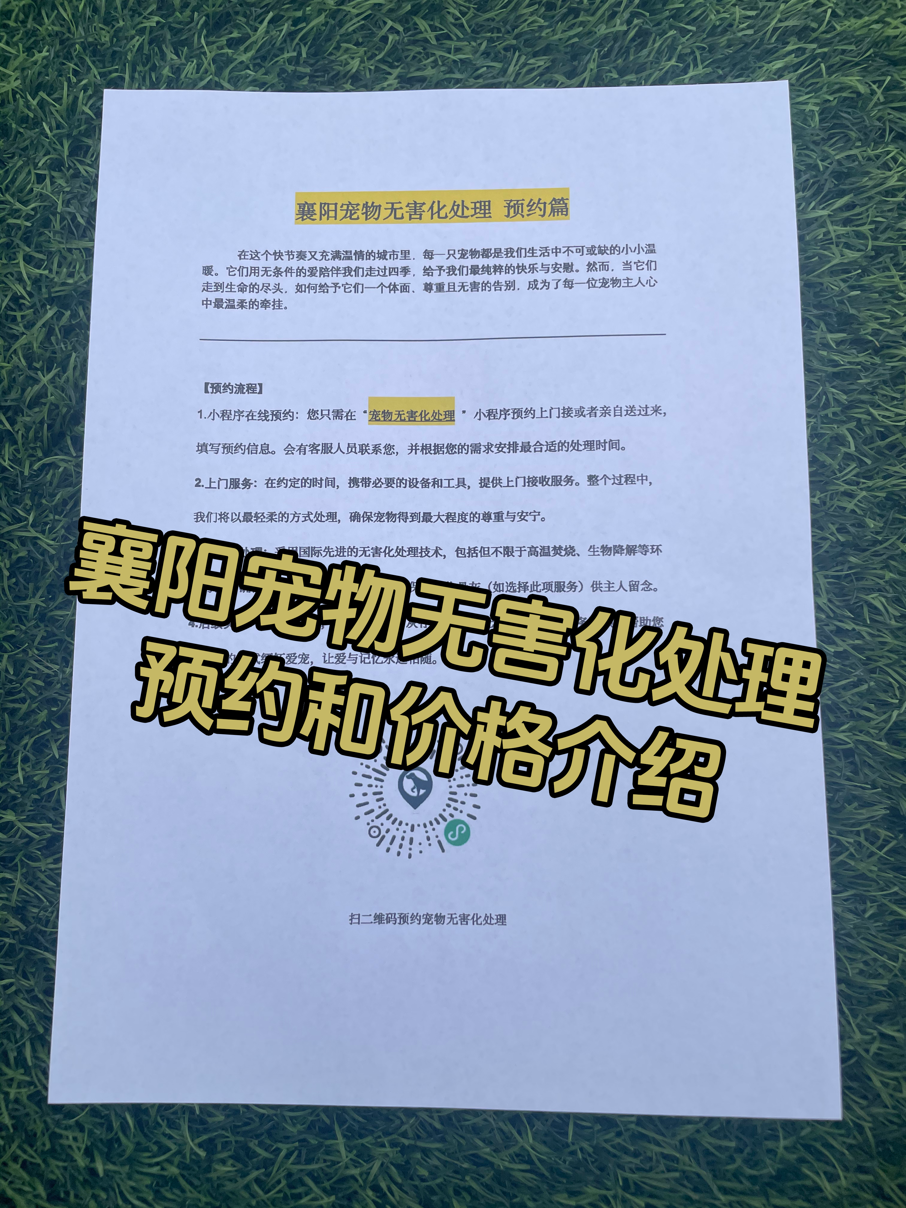 厦门宠物遗体规范处理