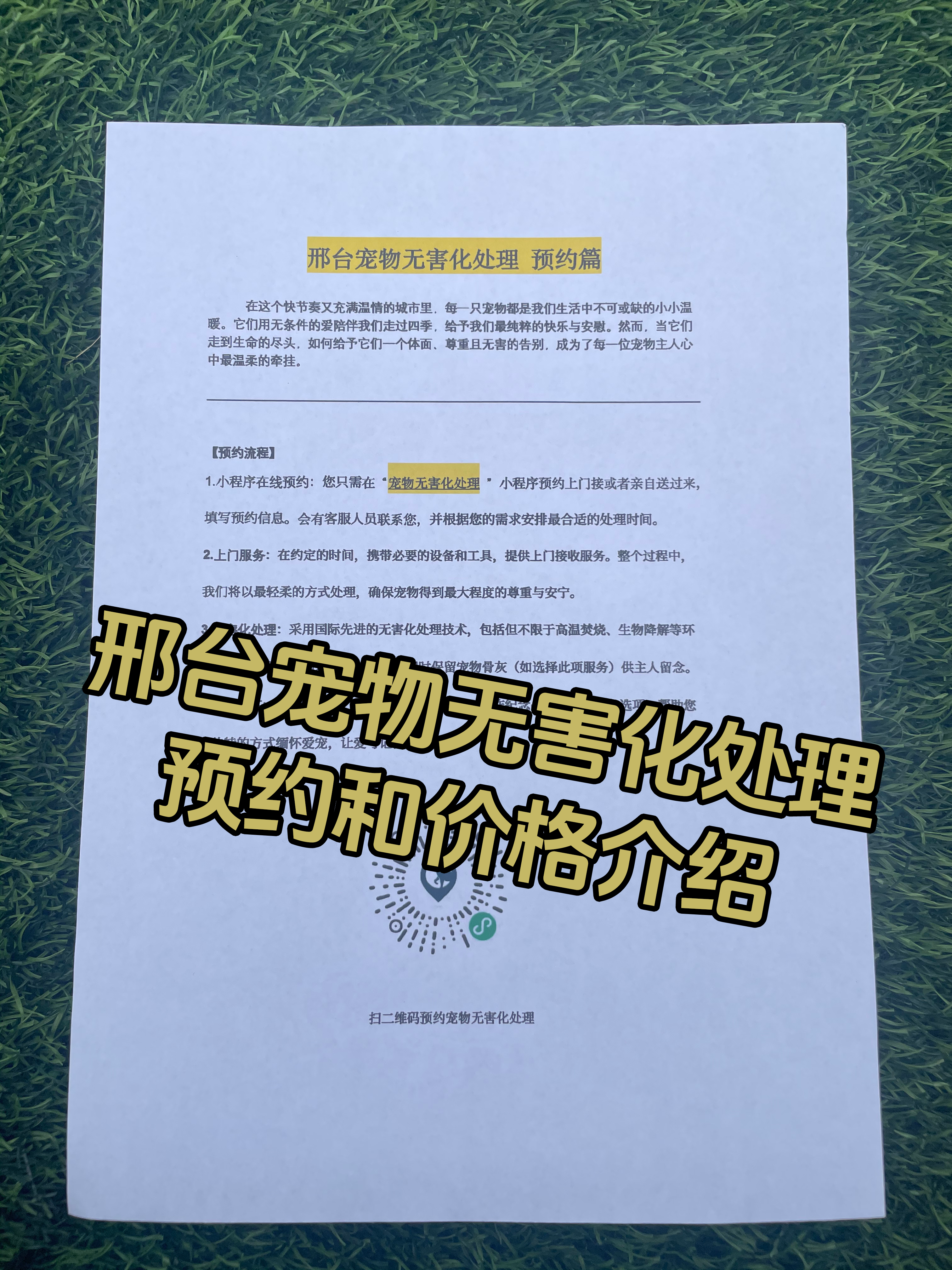 永丰宠摆渡服务