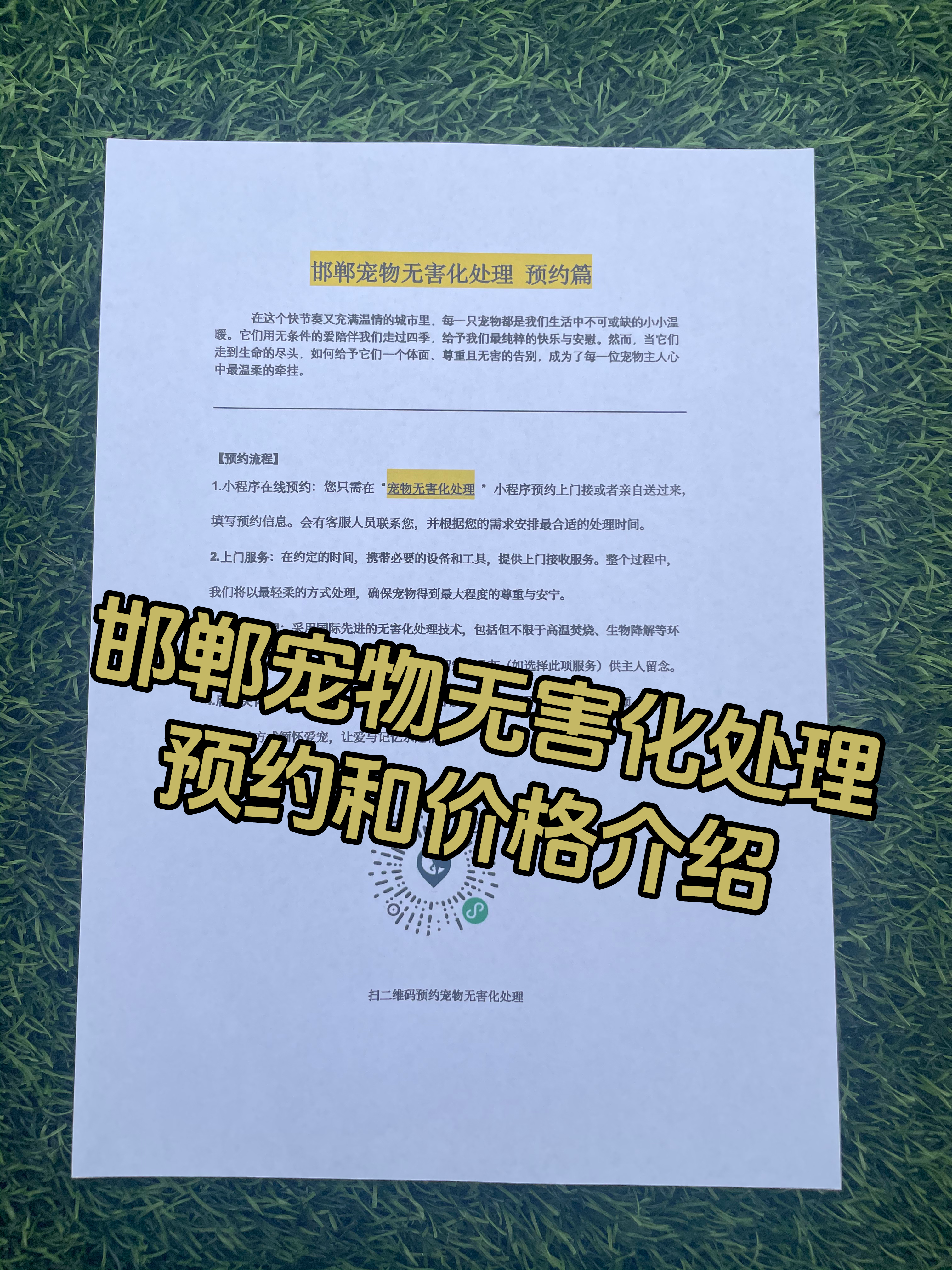 兰州宠物无害化处理