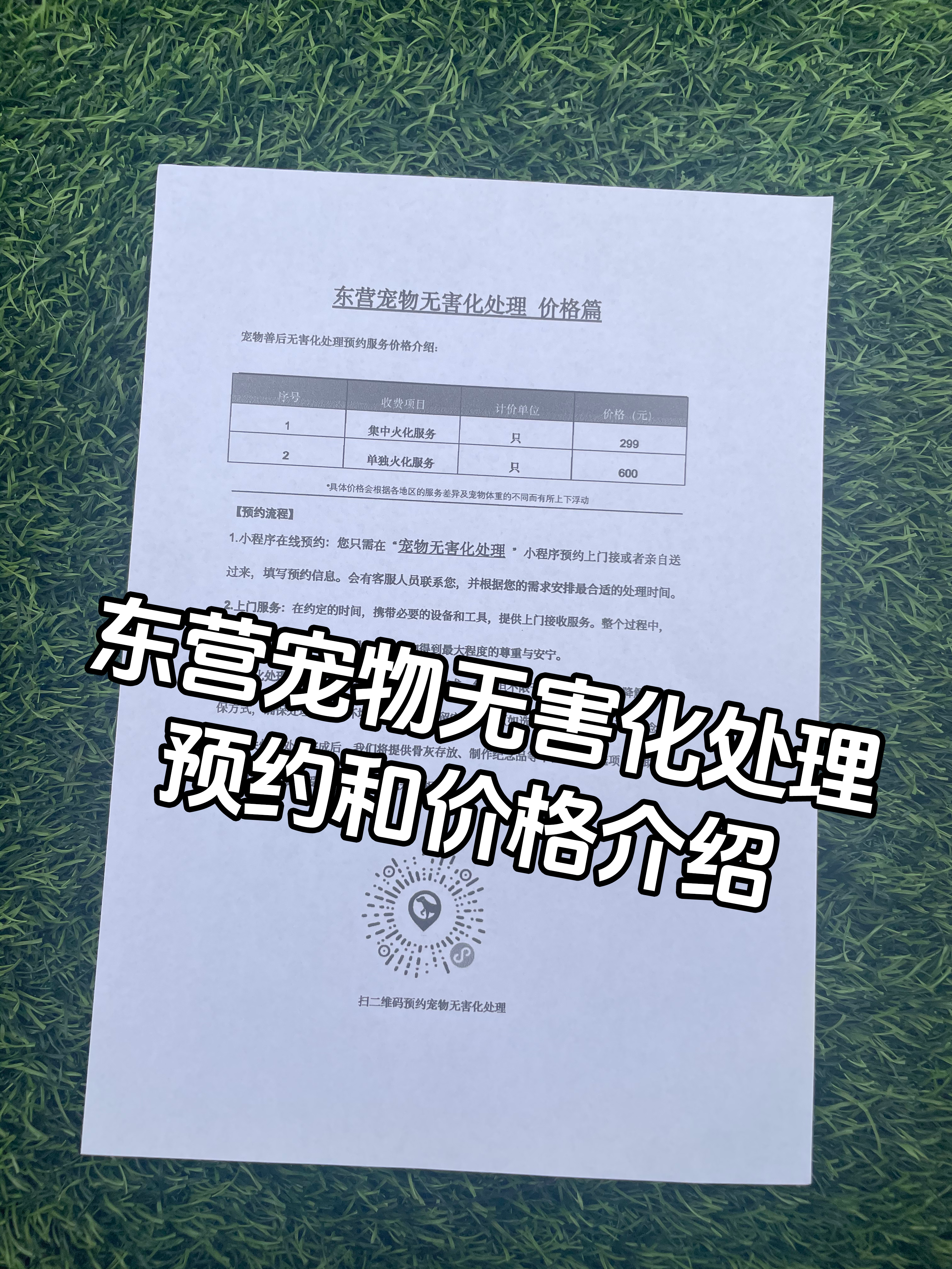 泰和宠物无害化