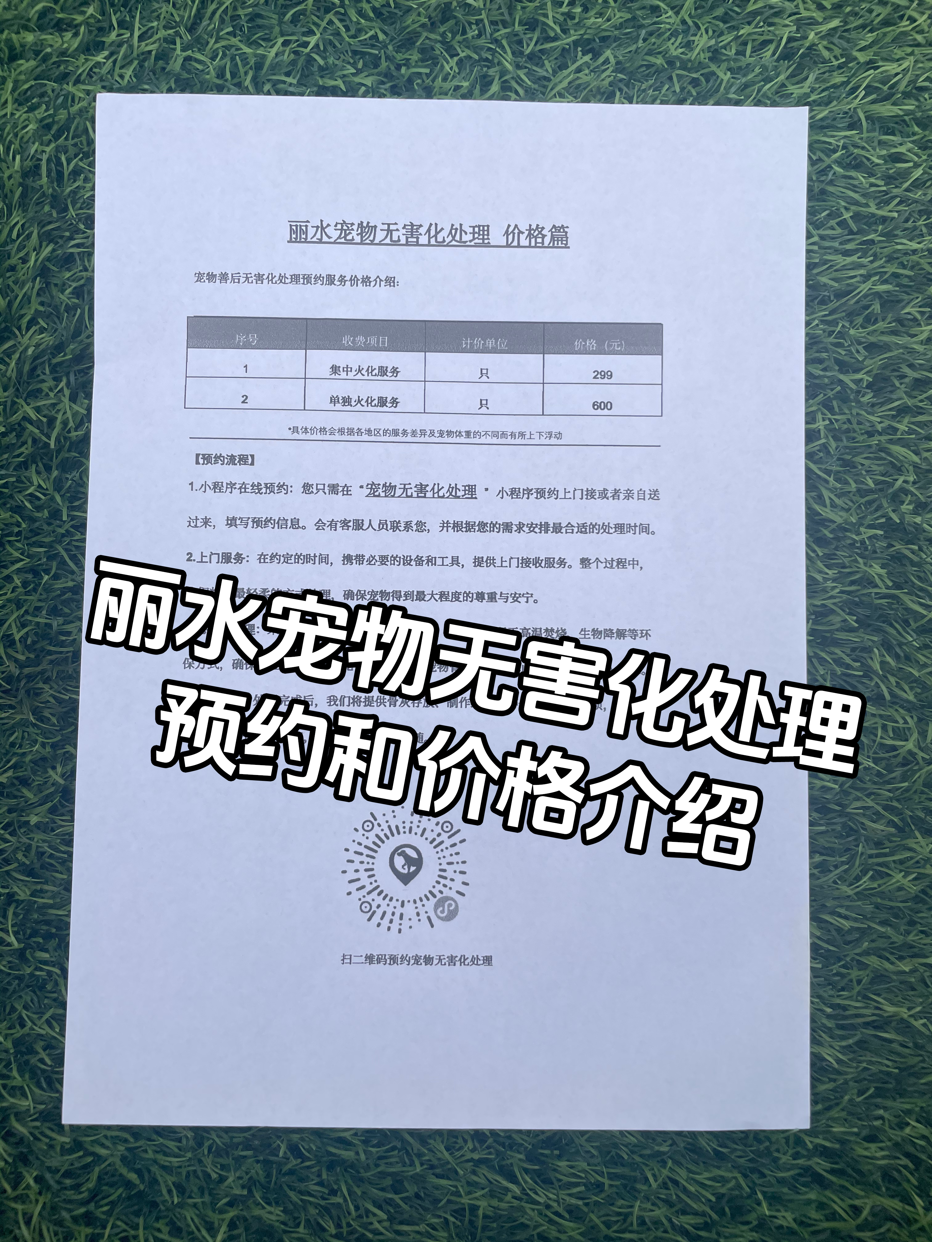 邵阳宠物遗体规范处理