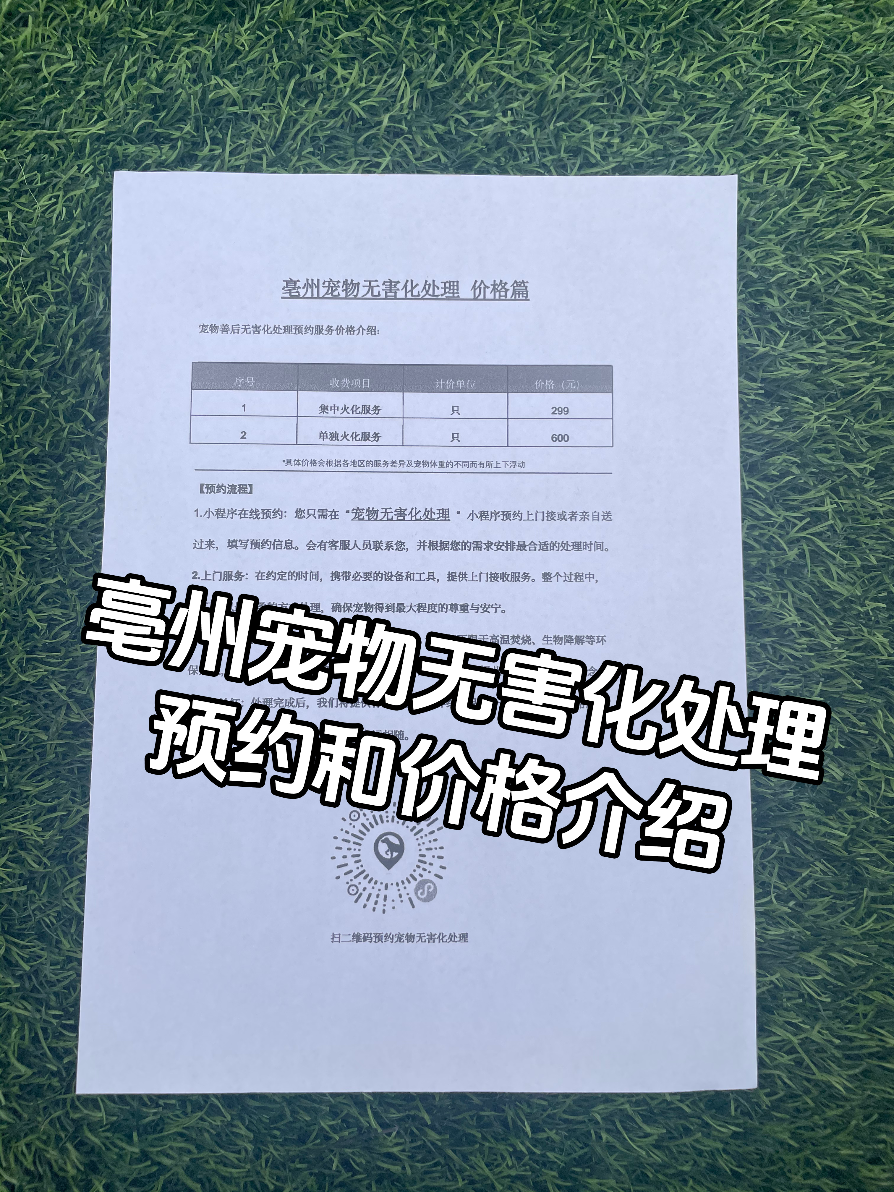 泰和宠物告别