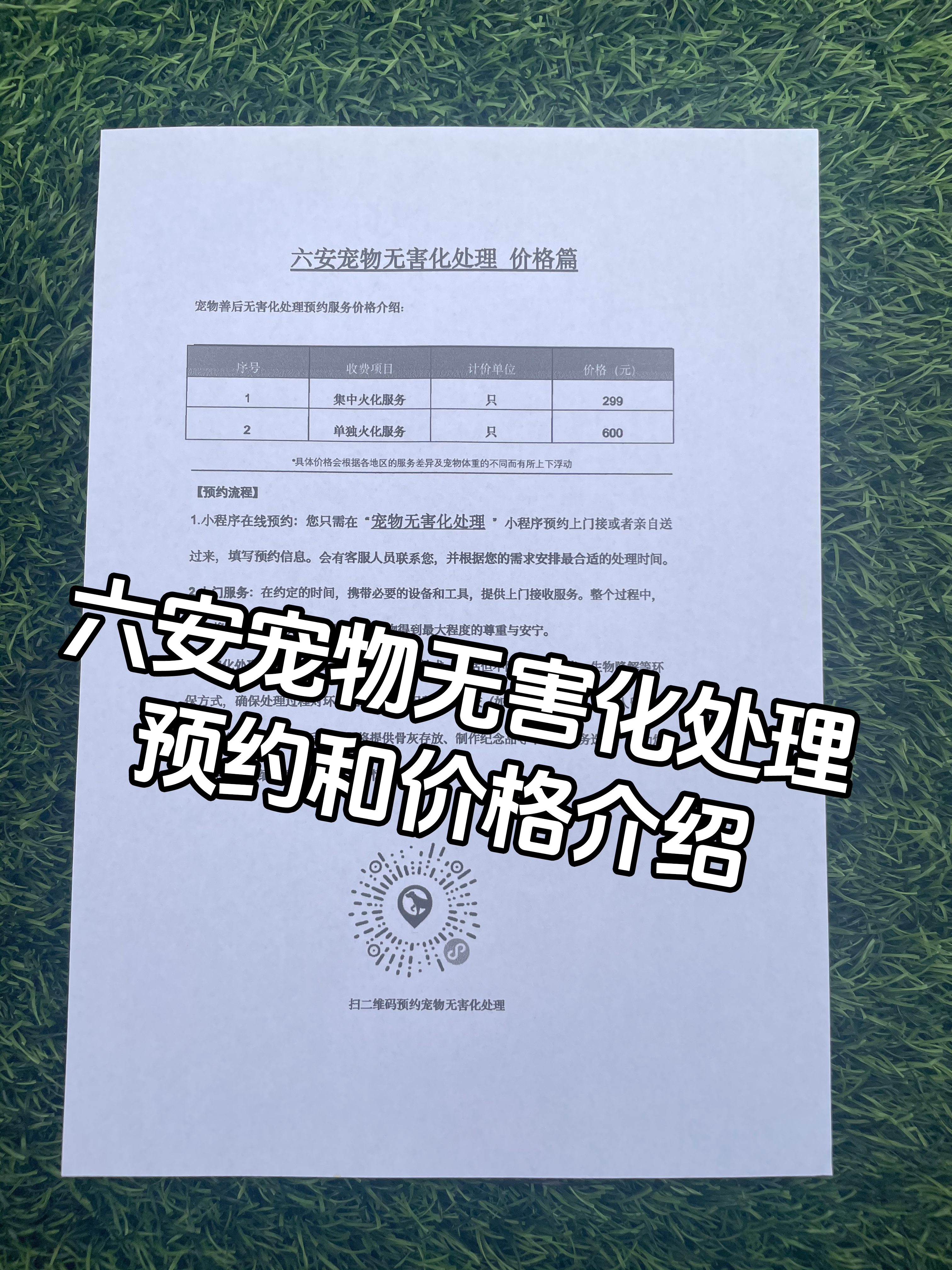 泰和宠物无害化处理流程