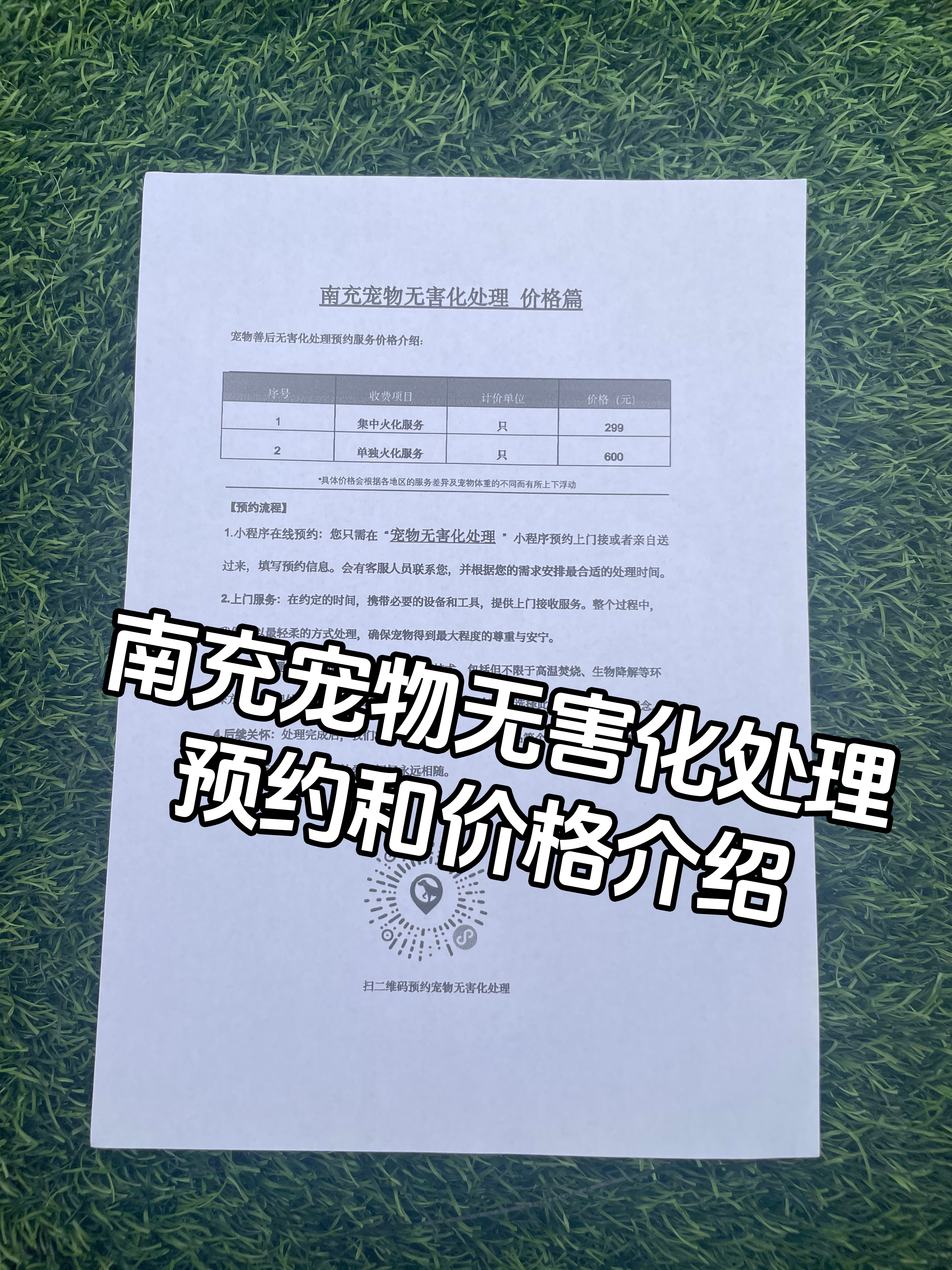 泰和宠物接运服务