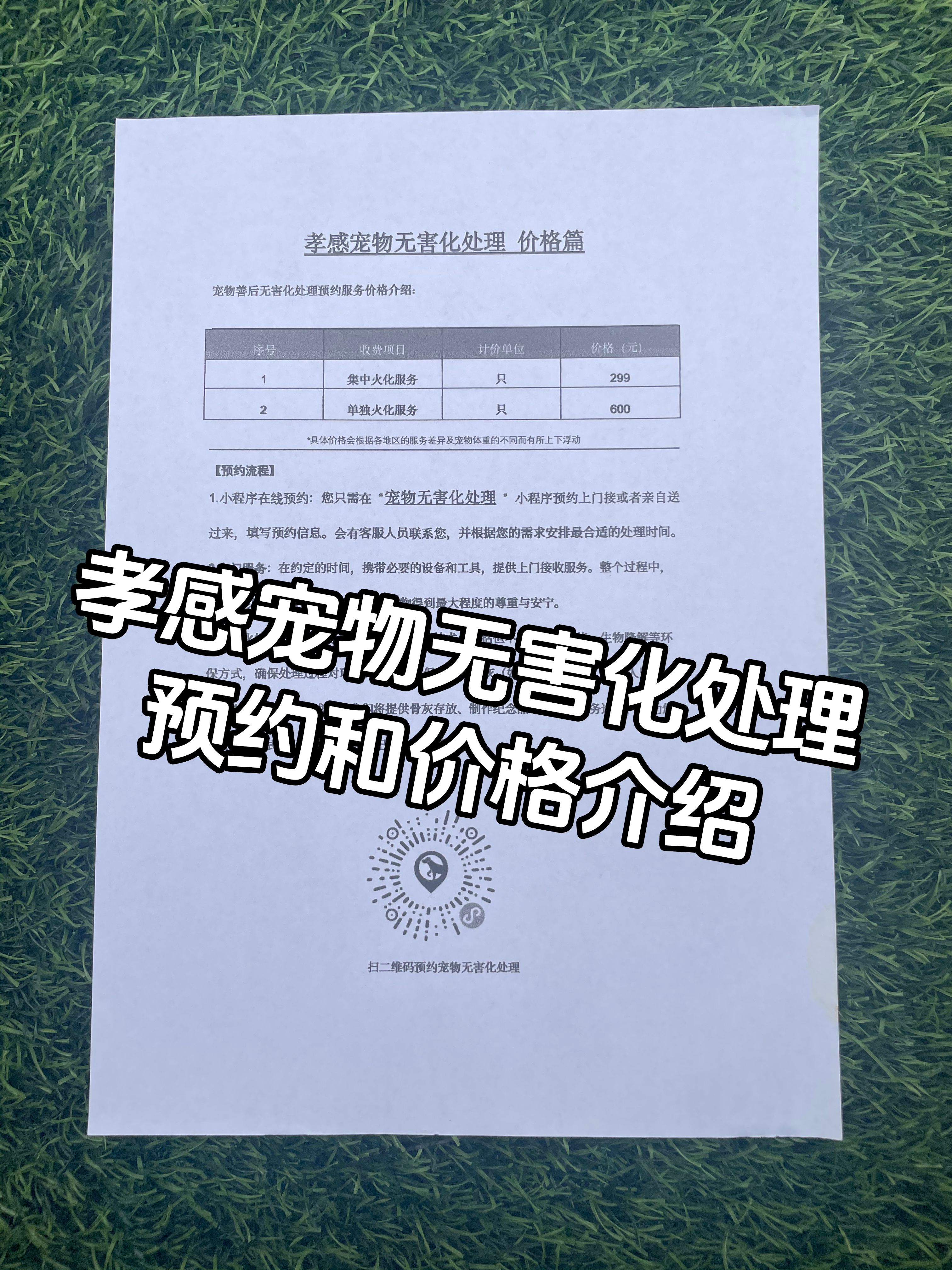遂川宠物无害化