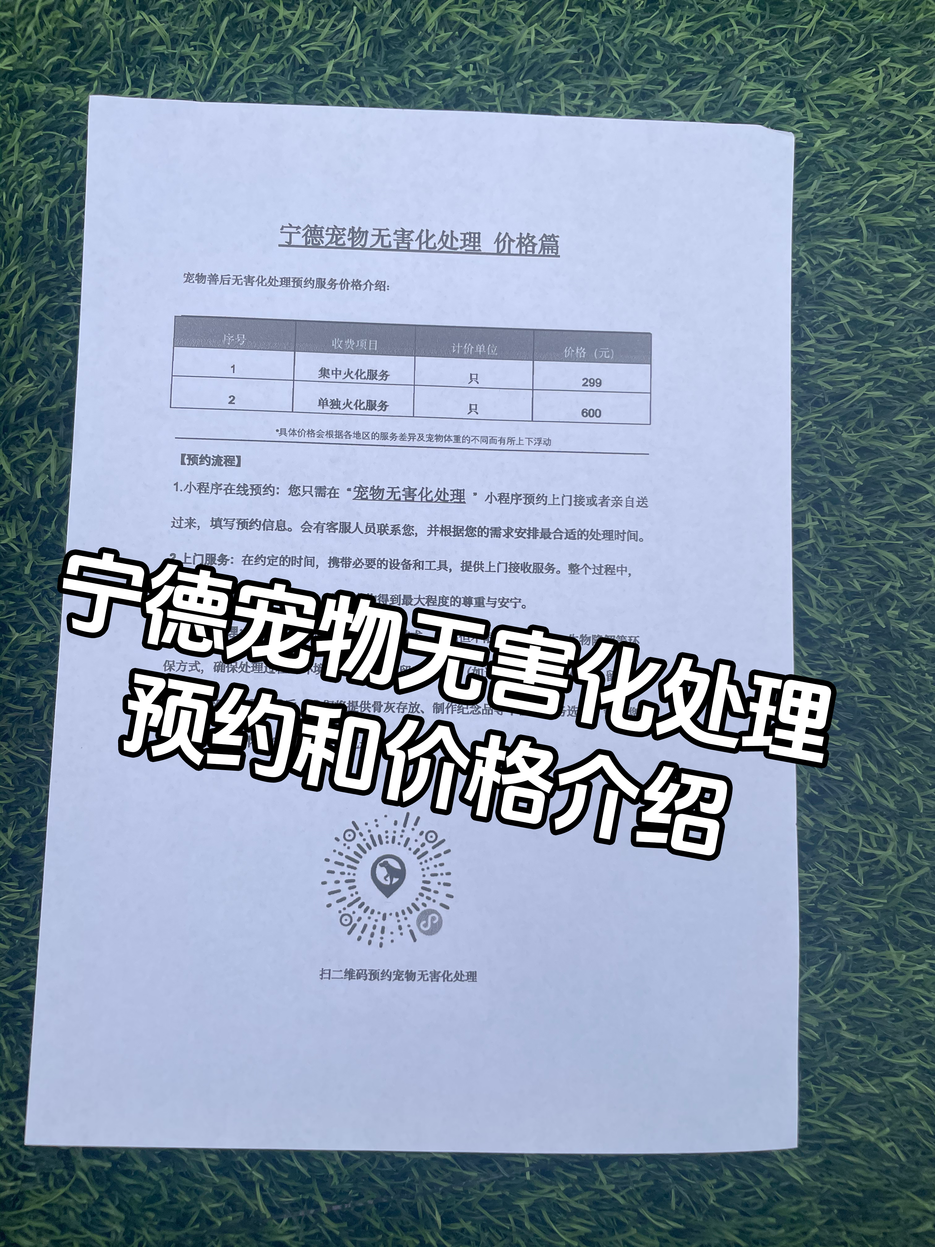 嘉兴宠物无害化处理