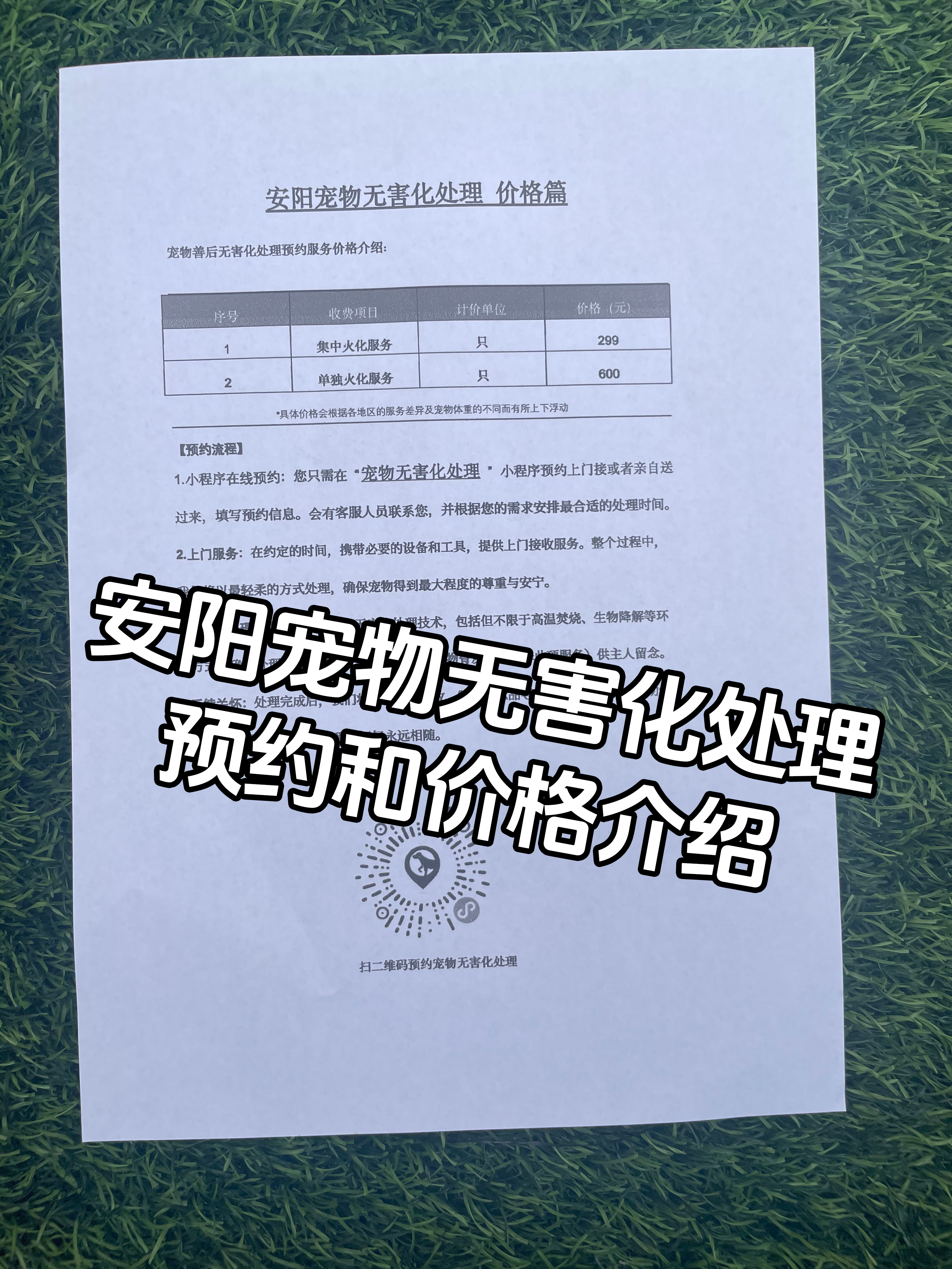 桂林宠物遗体规范处理