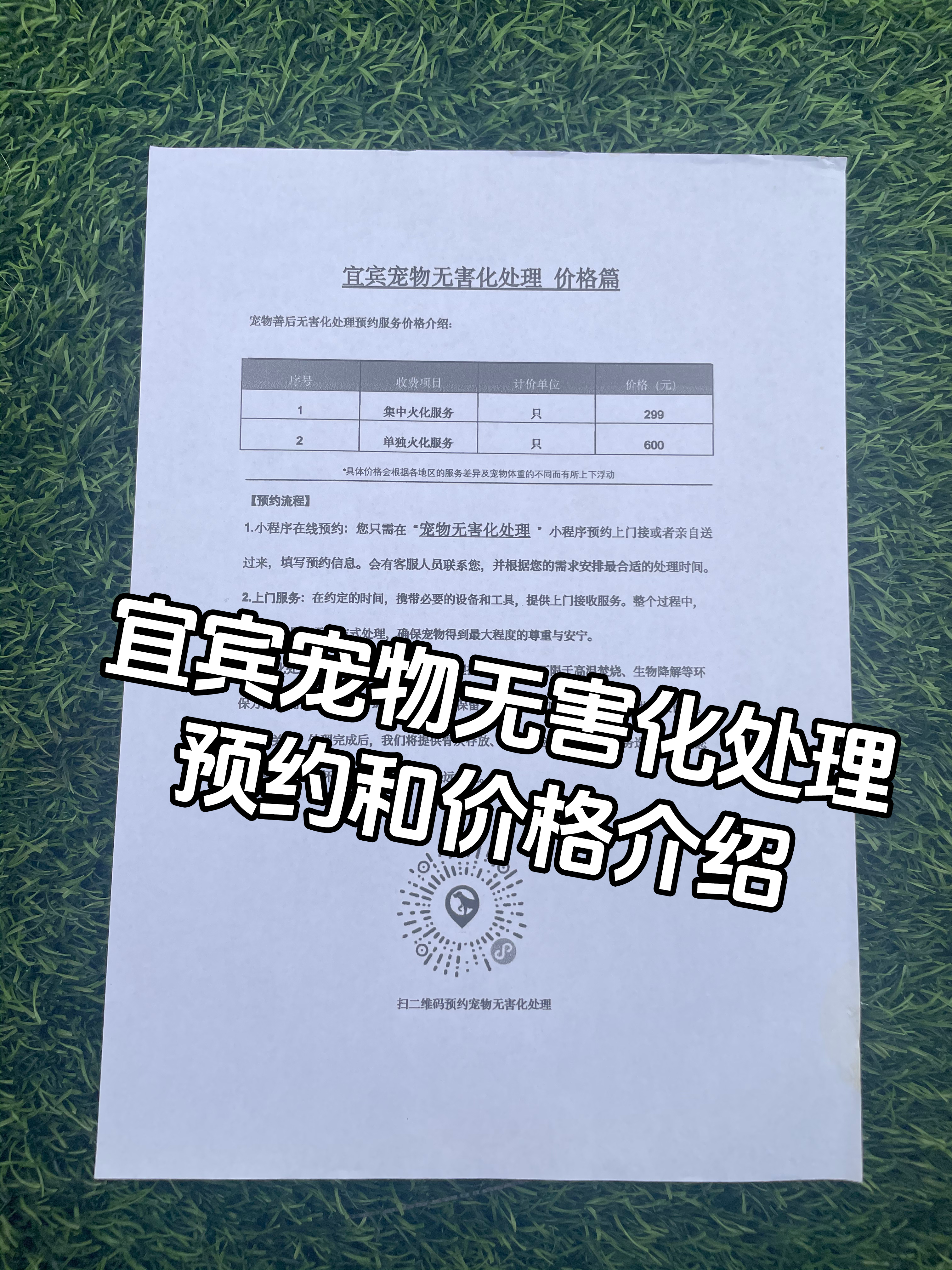 海口宠物无害化处理