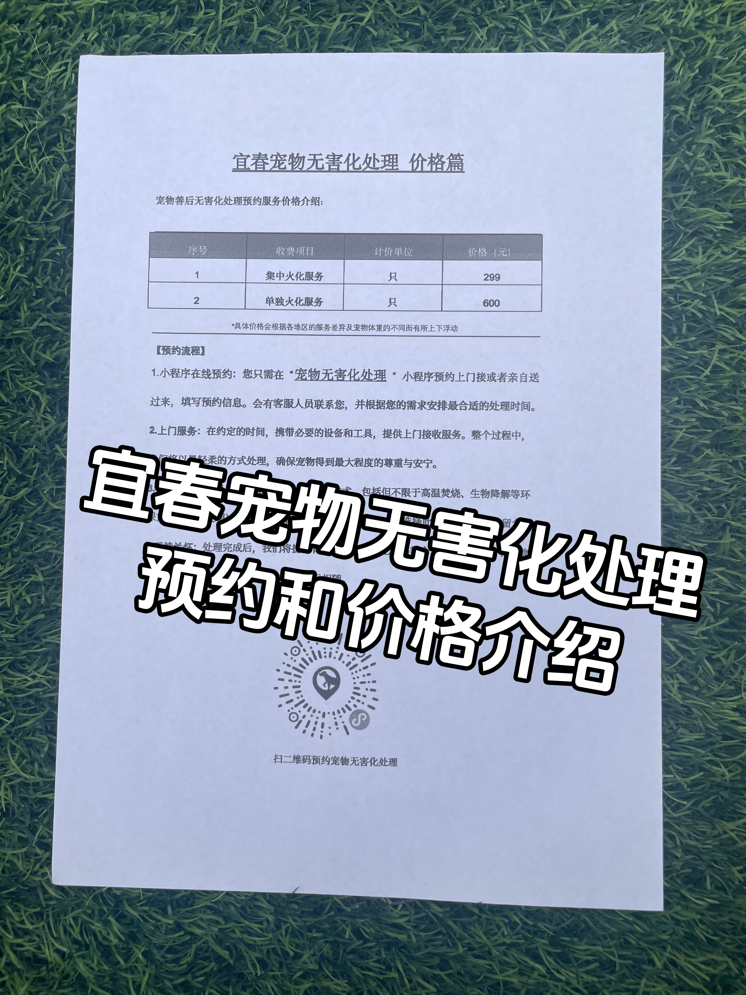 遂川宠物接运服务