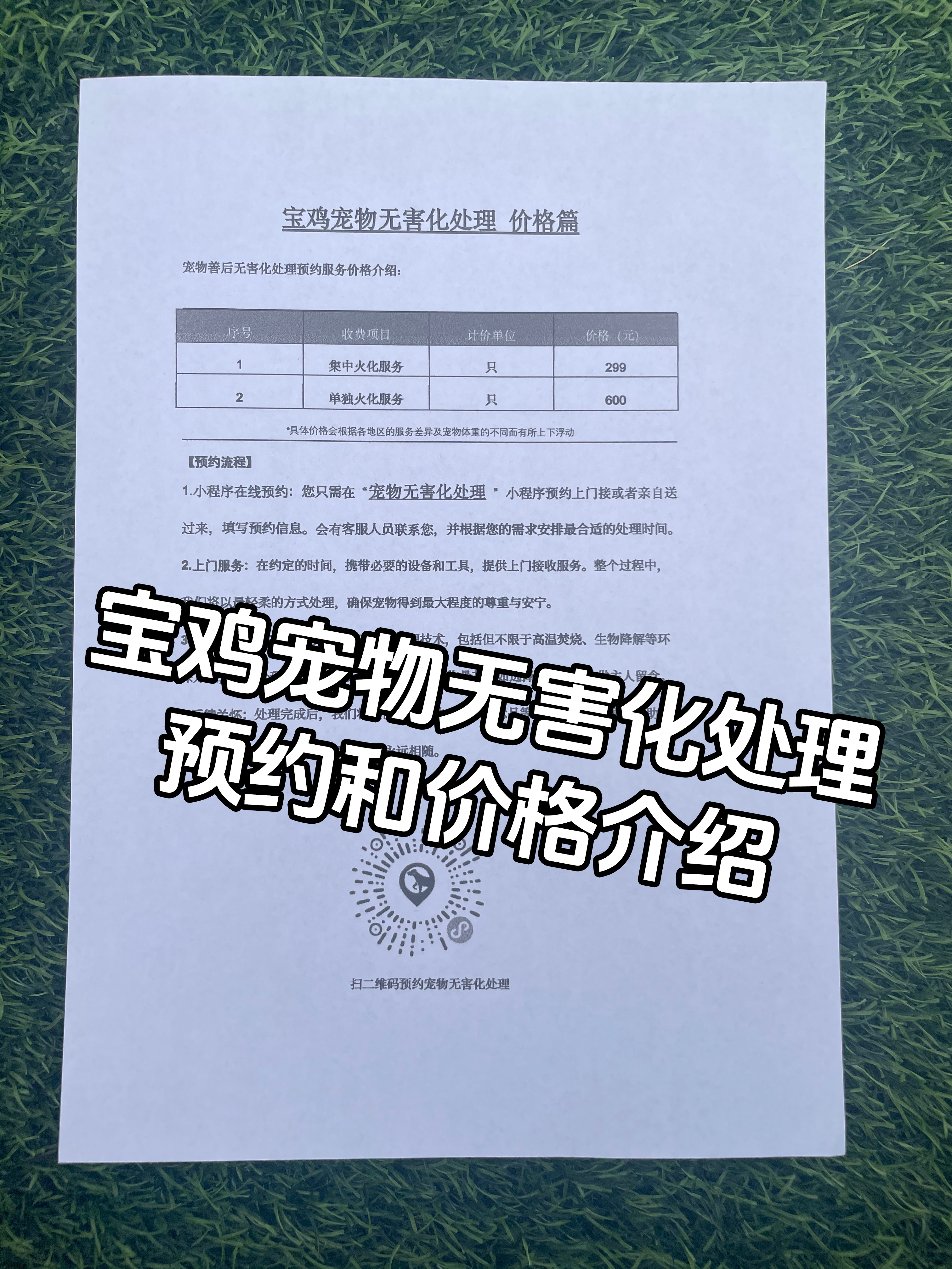 遂川宠物告别厅